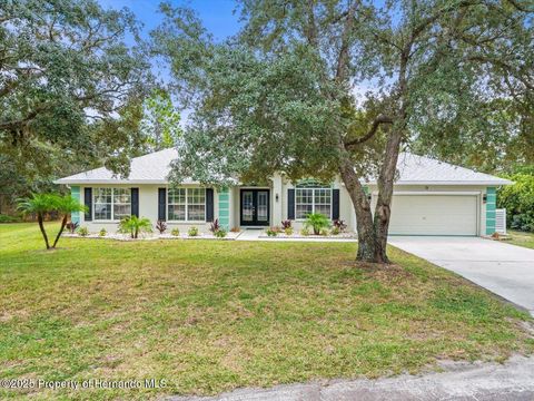 Homes For Sale - 13 Witch Hazel Court<br/> Homosassa, FL 34446