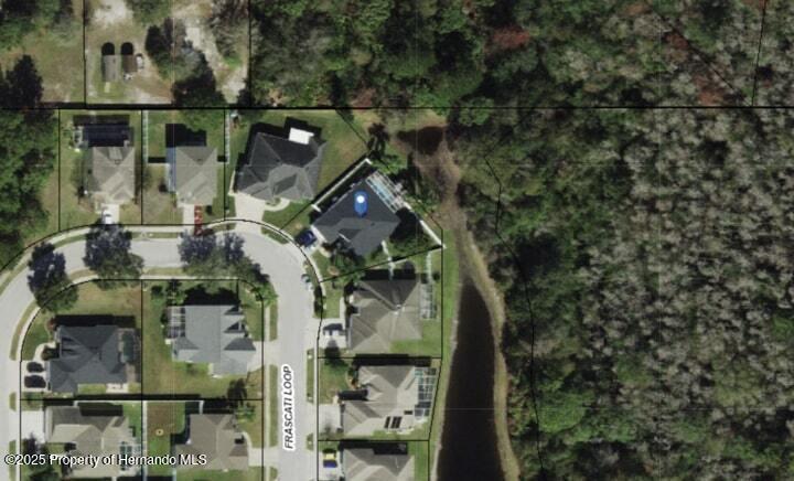 7027 Frascati Loop, Wesley Chapel, Florida image 2