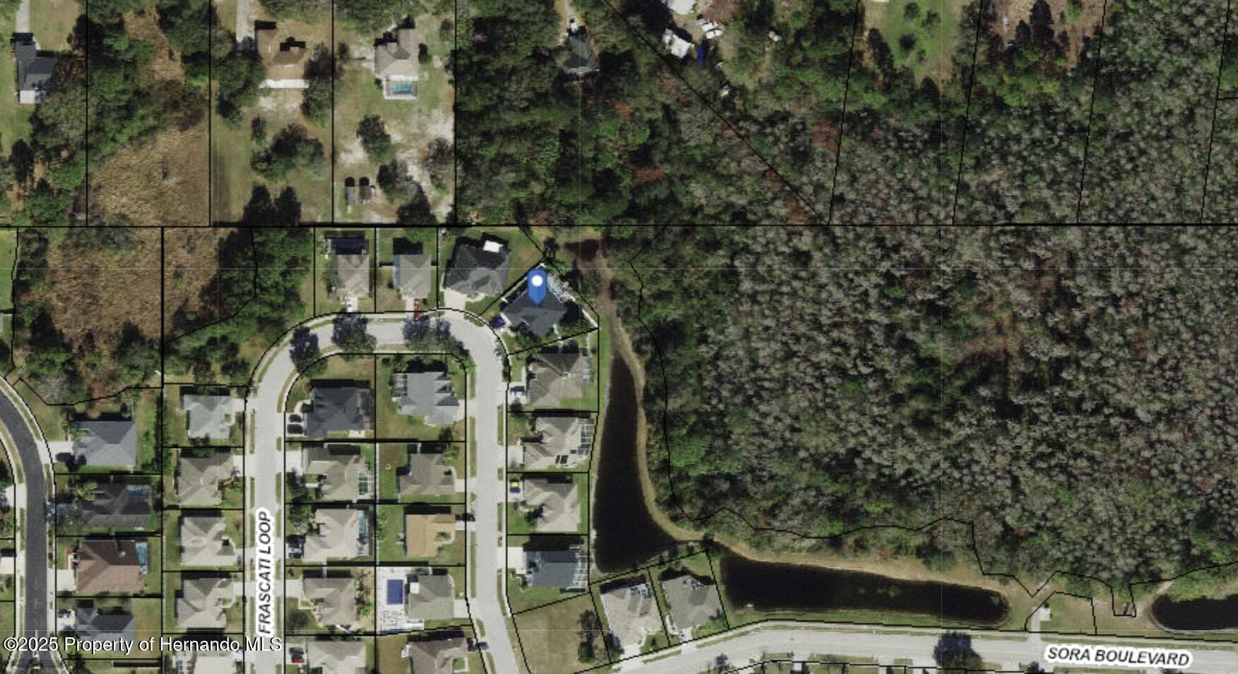 7027 Frascati Loop, Wesley Chapel, Florida image 3