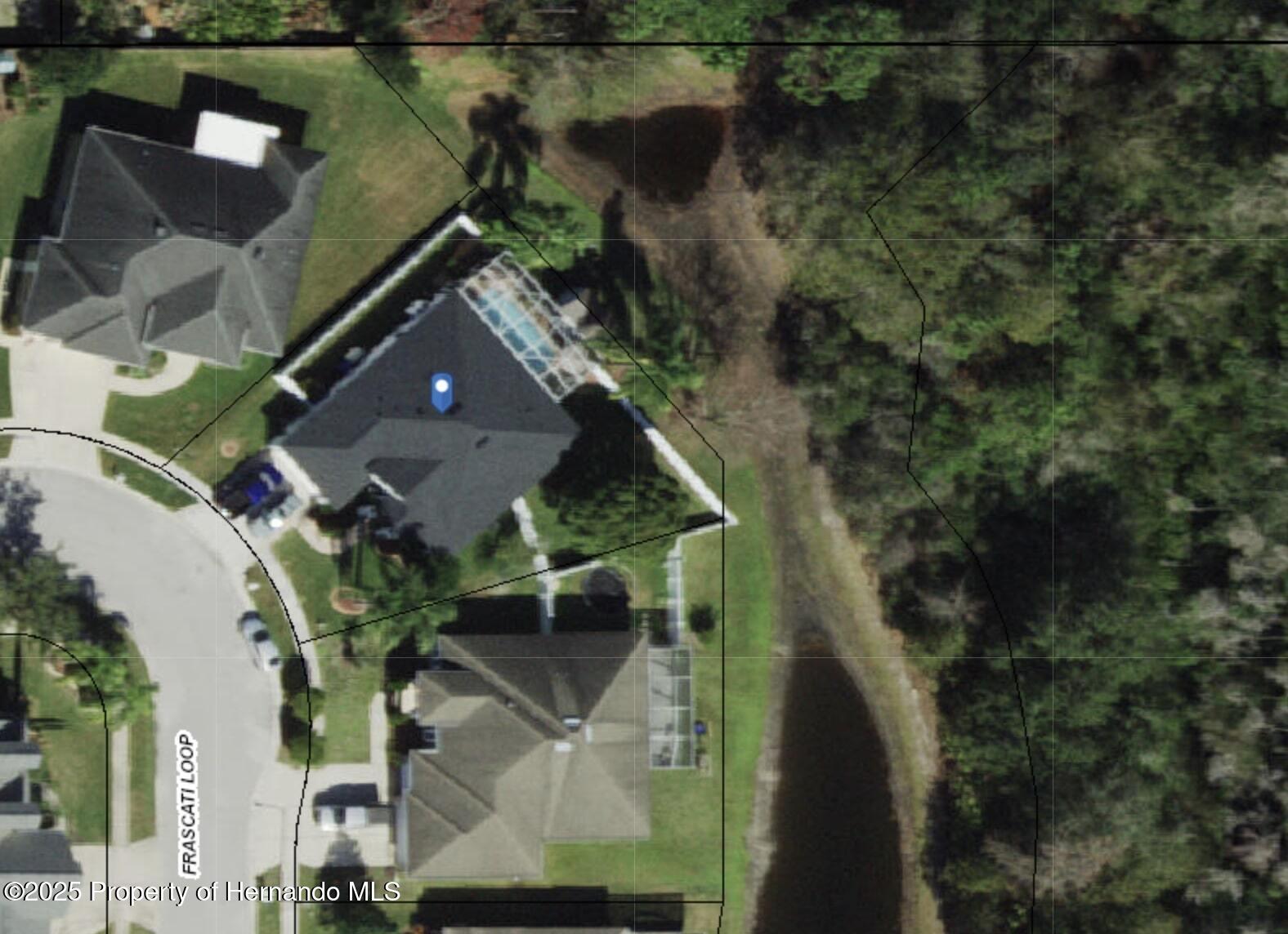 7027 Frascati Loop, Wesley Chapel, Florida image 1