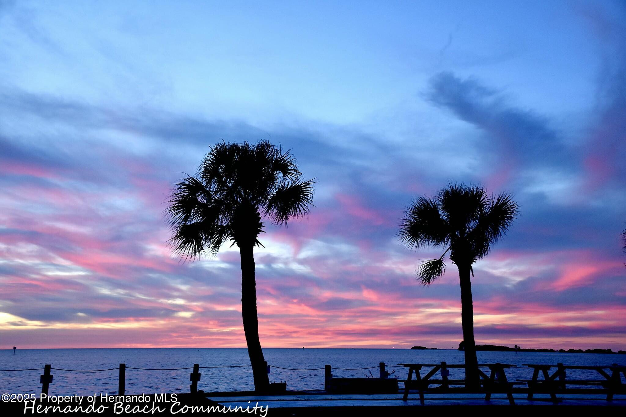 4461 Kingston Drive, HERNANDO BEACH, Florida image 5