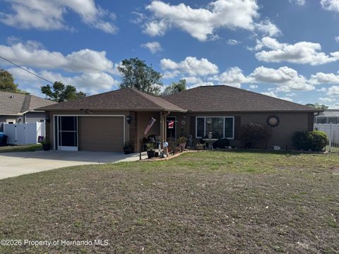 Homes For Sale - 3042 Aldoro Avenue<br/> Spring Hill, FL 34609