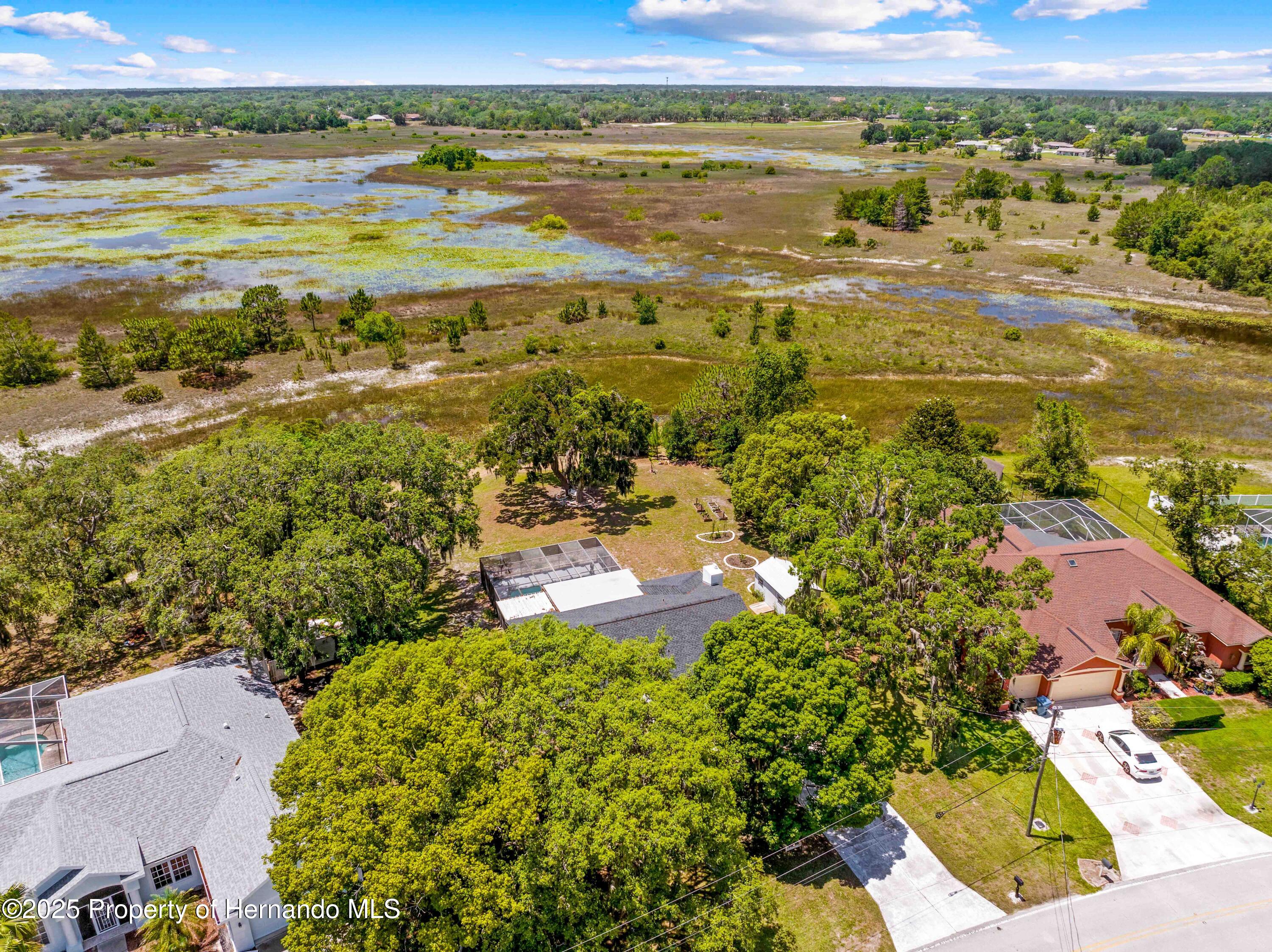 3041 Waterfall Drive, Spring Hill, Florida image 24