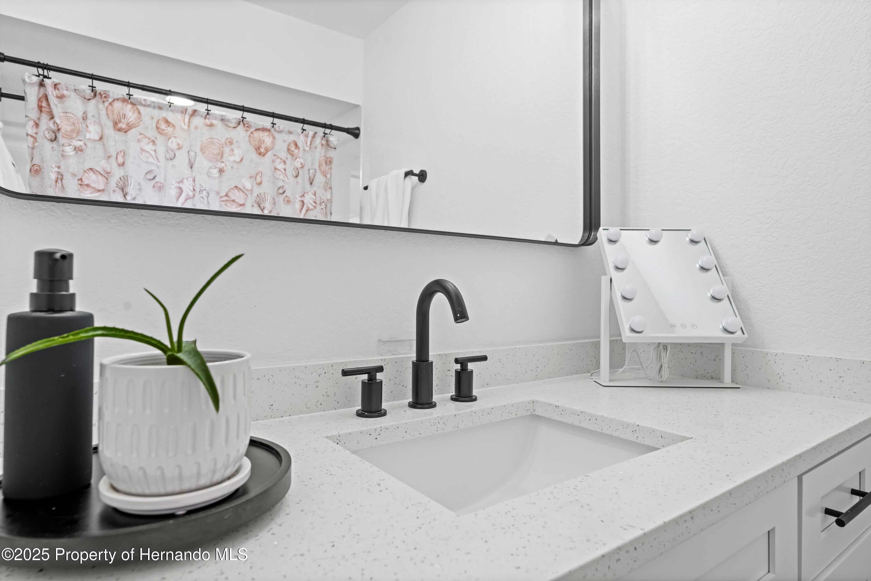 3041 Waterfall Drive, Spring Hill, Florida image 33