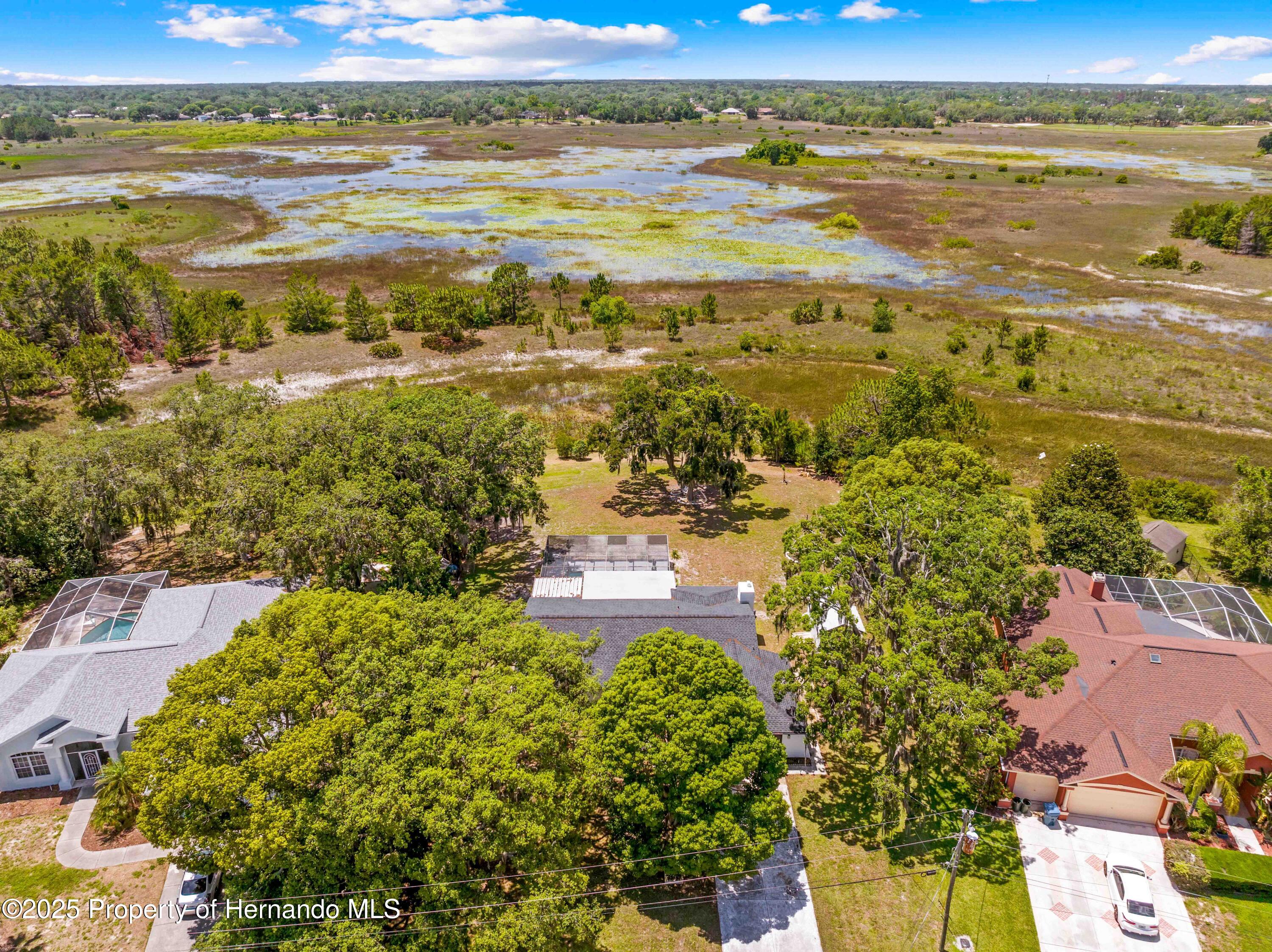 3041 Waterfall Drive, Spring Hill, Florida image 19