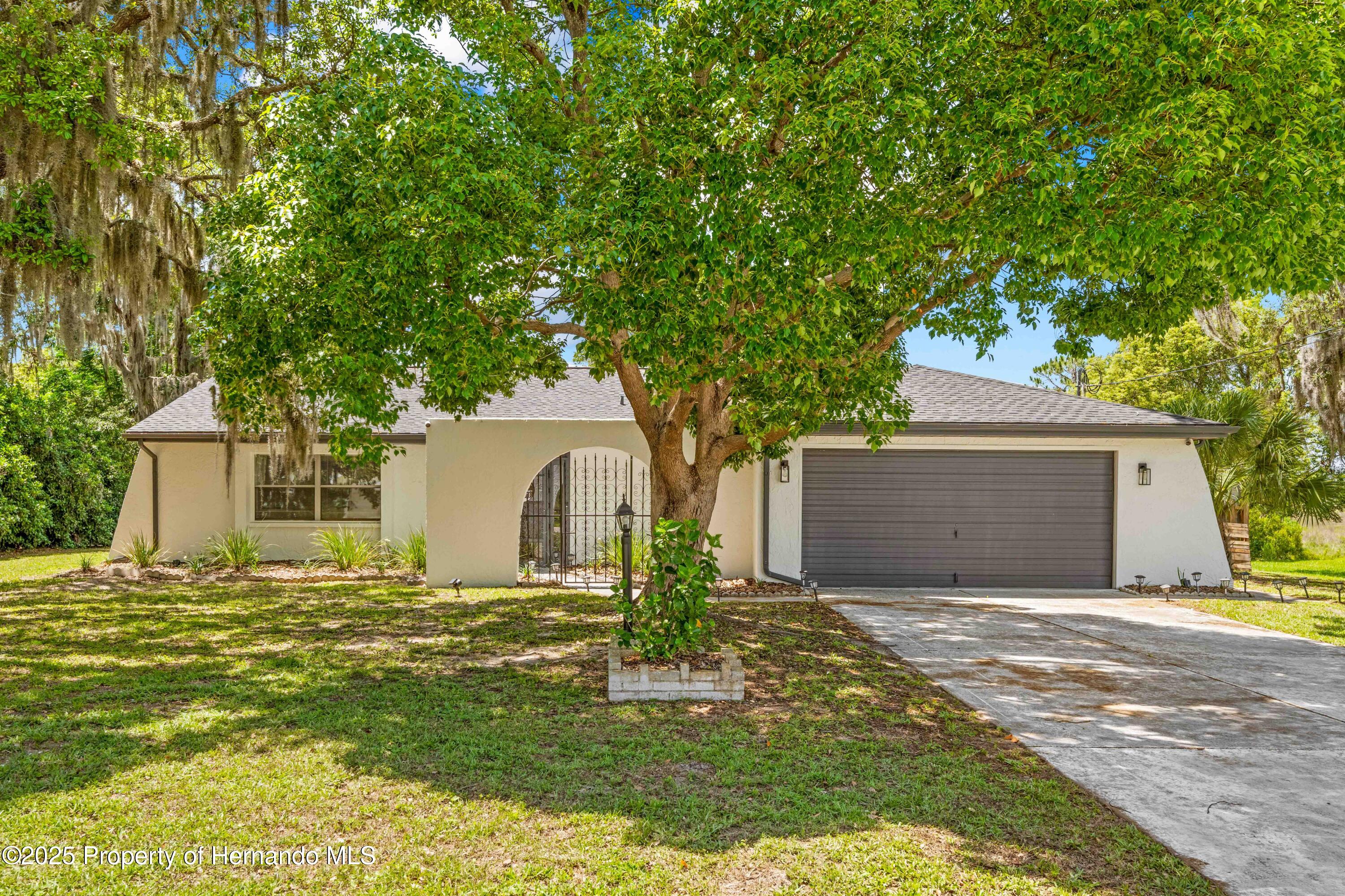 3041 Waterfall Drive, Spring Hill, Florida image 1