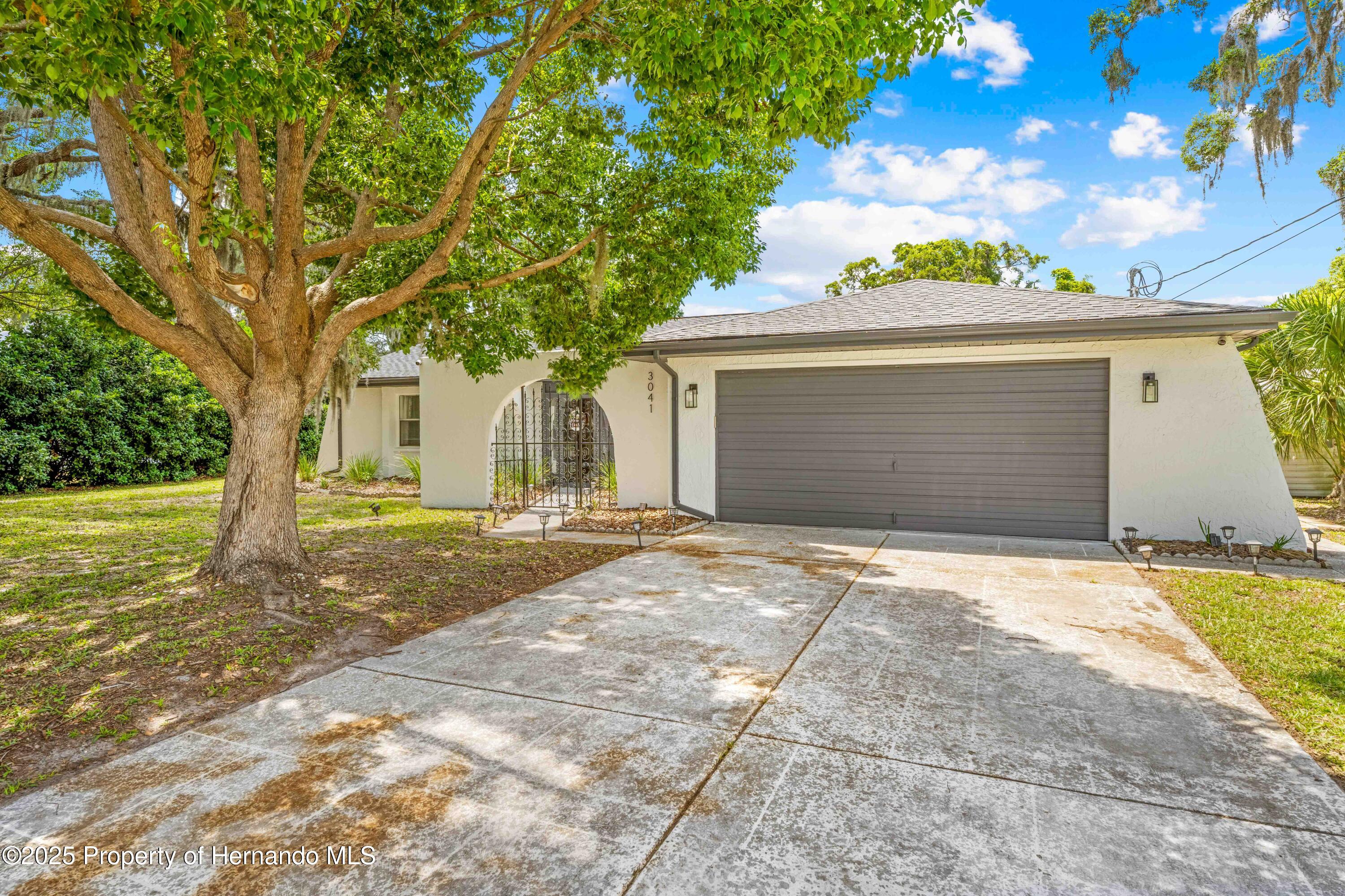 3041 Waterfall Drive, Spring Hill, Florida image 2