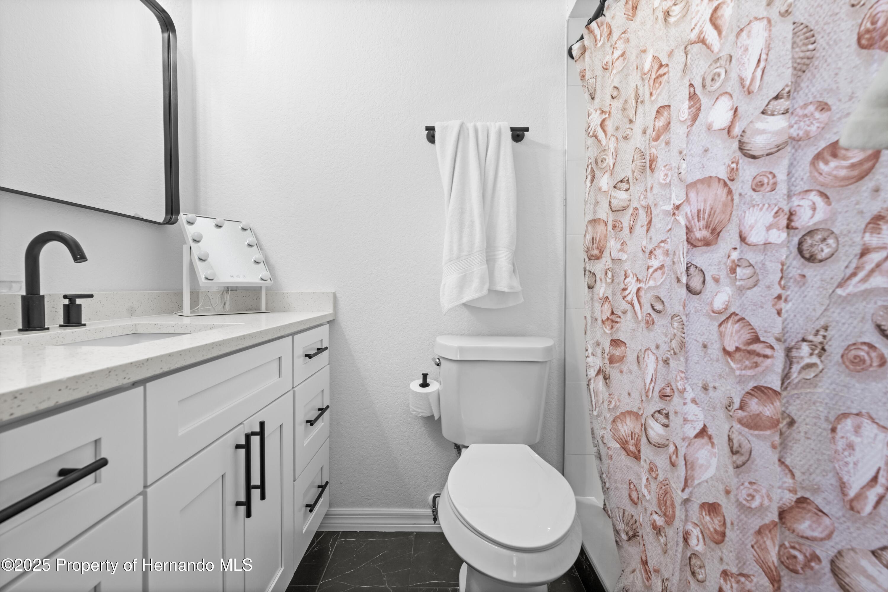 3041 Waterfall Drive, Spring Hill, Florida image 34