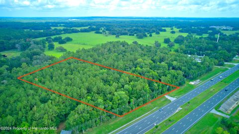 Vacant Land For Sale - Broad Street<br/> Brooksville, FL 34601