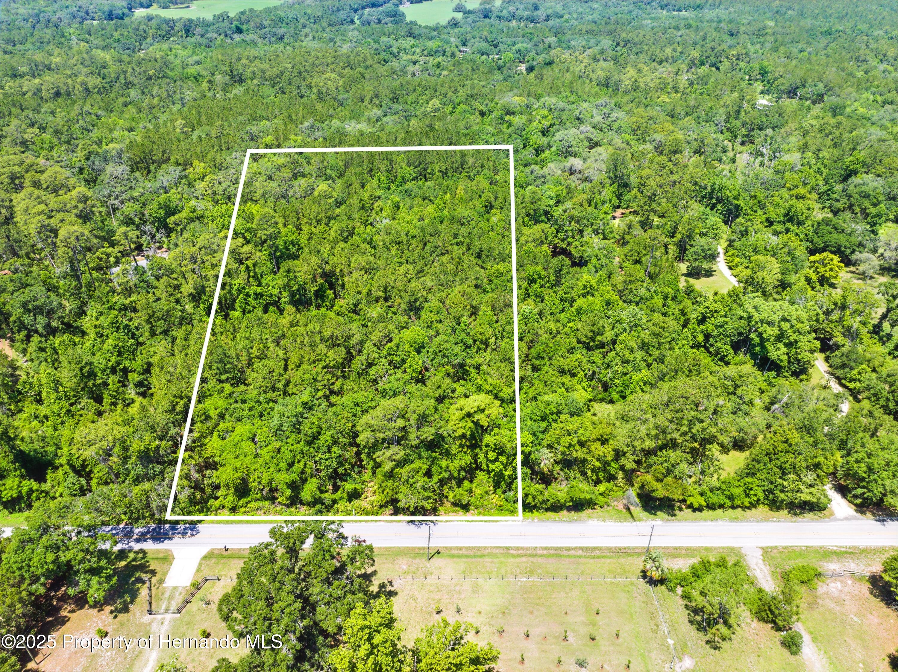 Emerson Road, Brooksville, Florida image 1