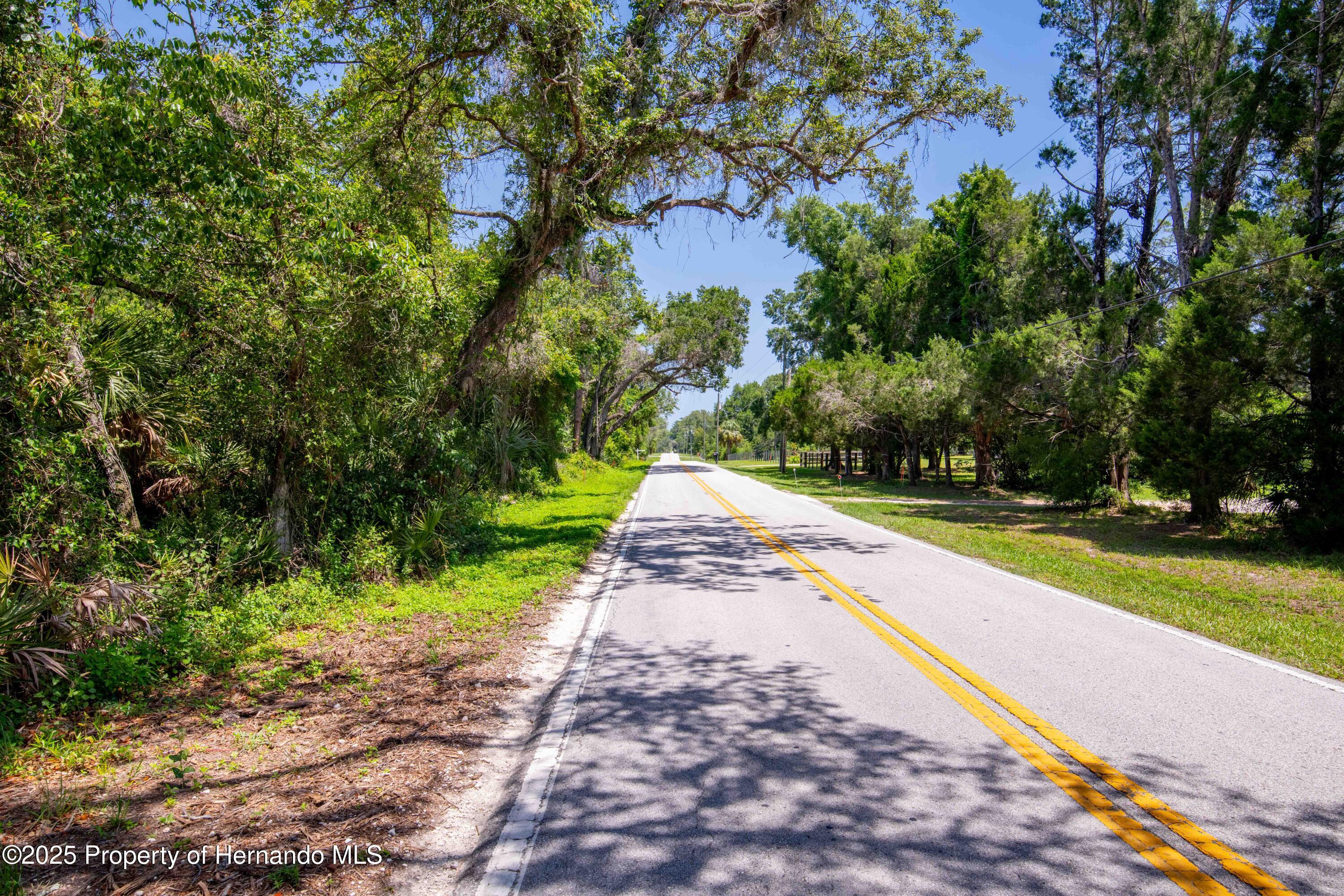 Emerson Road, Brooksville, Florida image 15