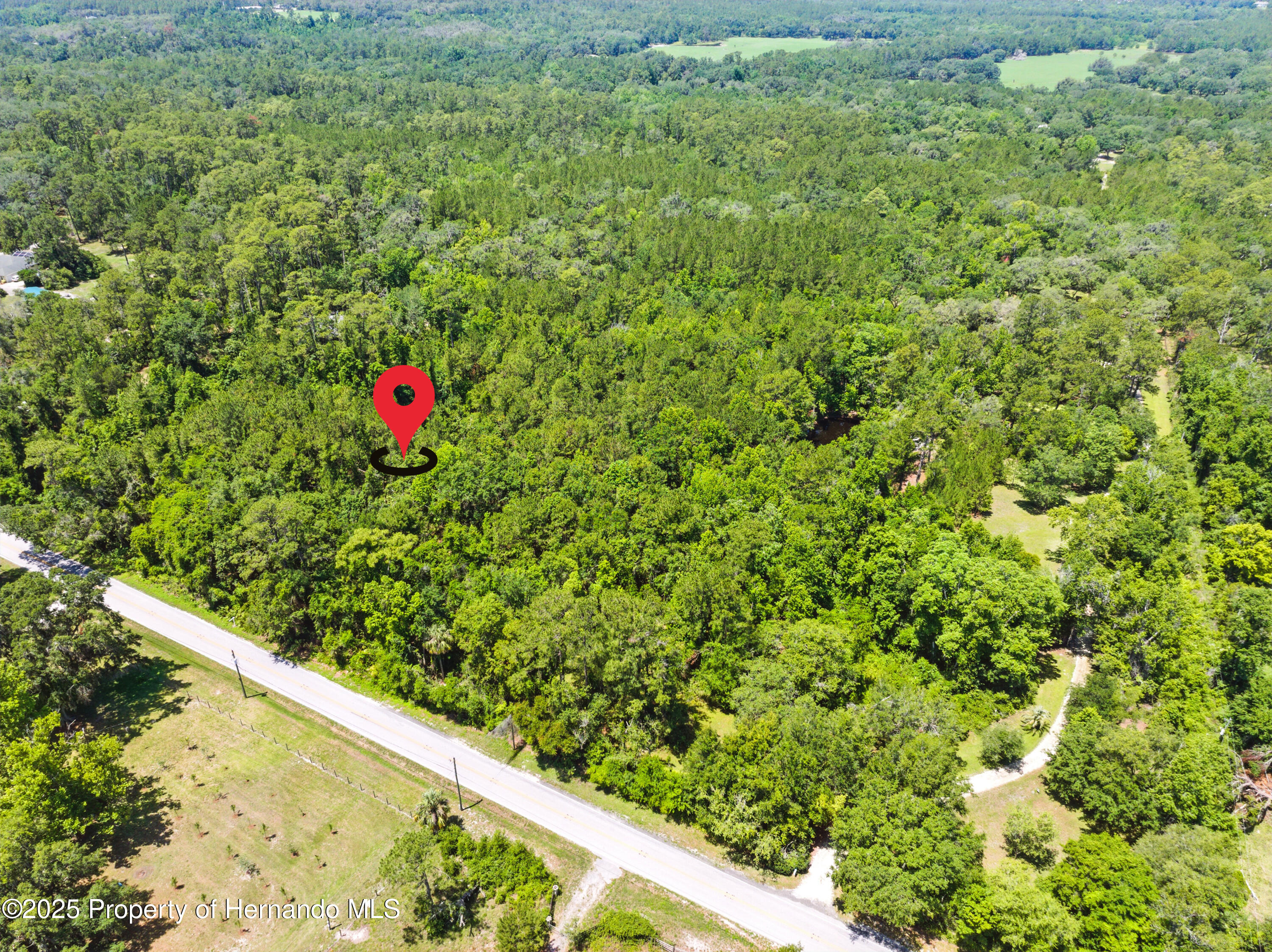 Emerson Road, Brooksville, Florida image 4