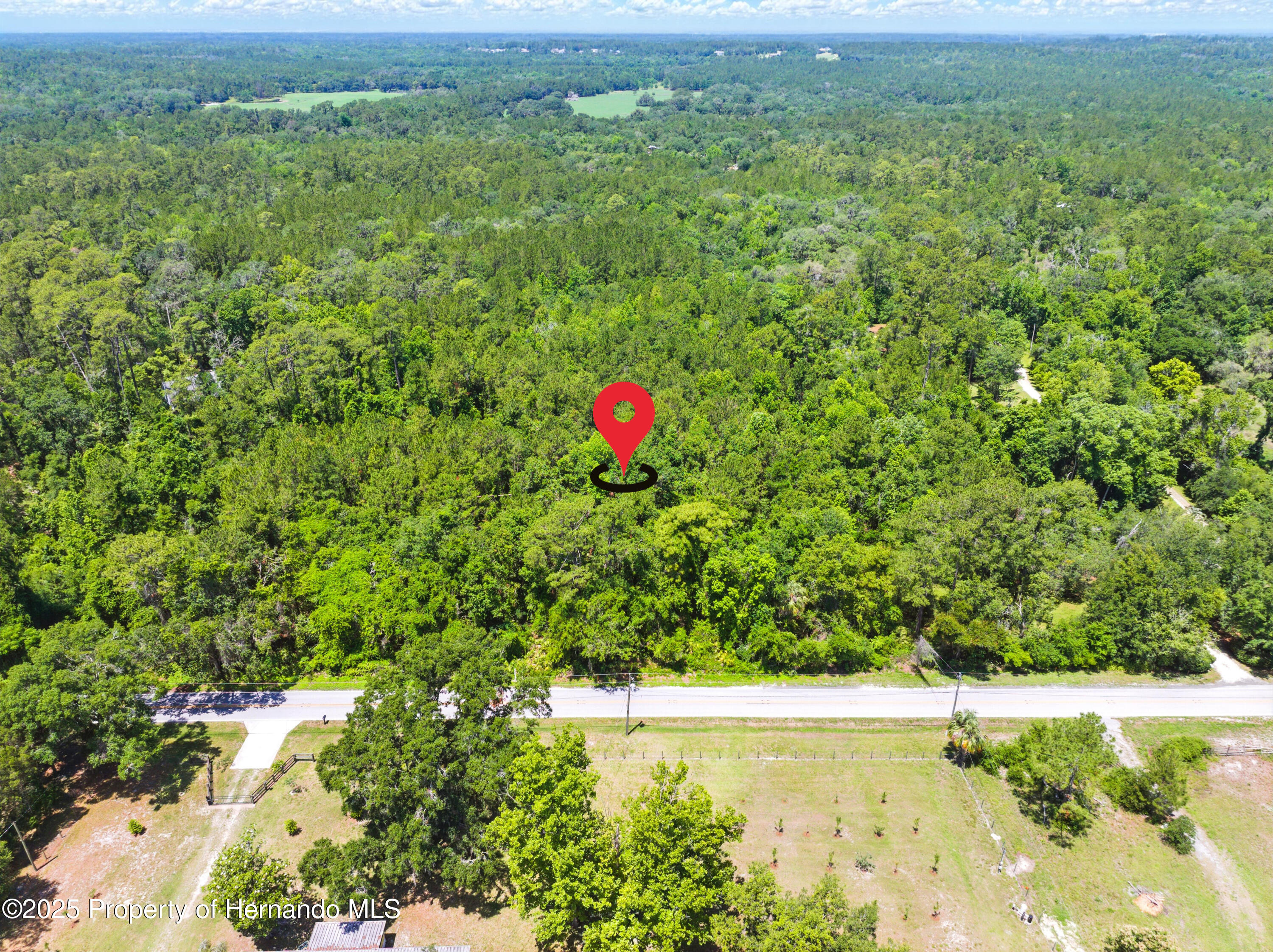 Emerson Road, Brooksville, Florida image 3