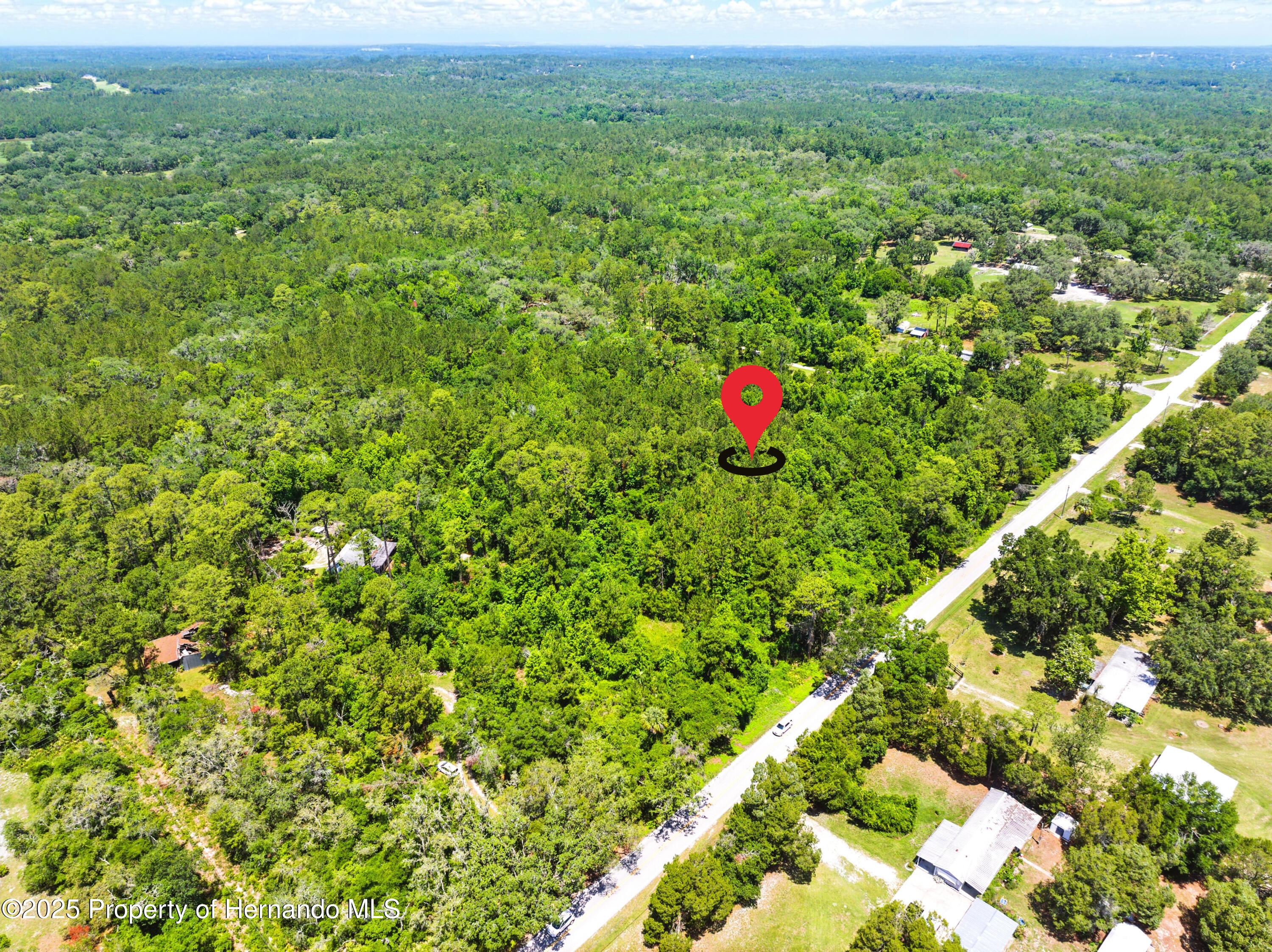 Emerson Road, Brooksville, Florida image 5