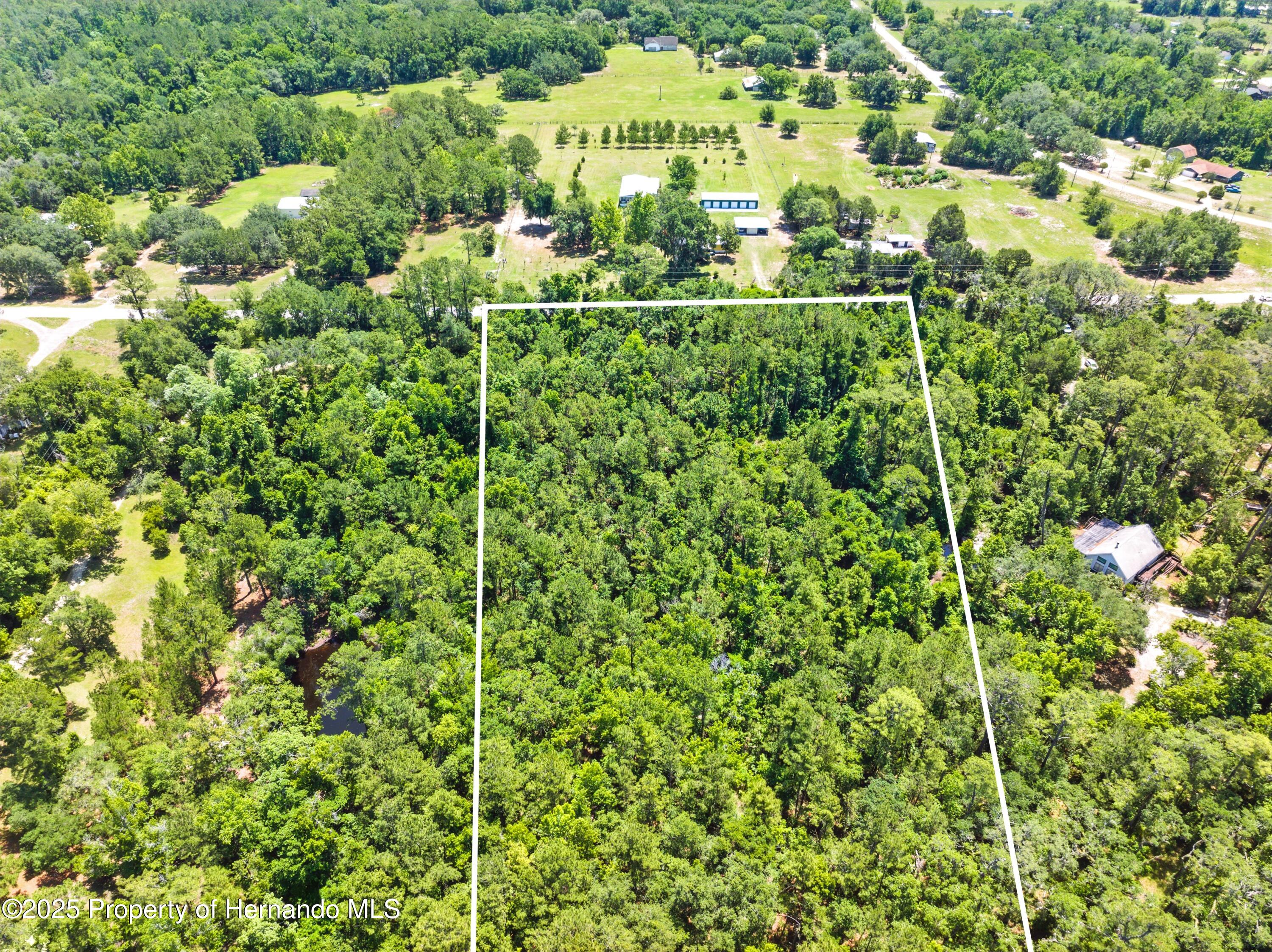 Emerson Road, Brooksville, Florida image 2