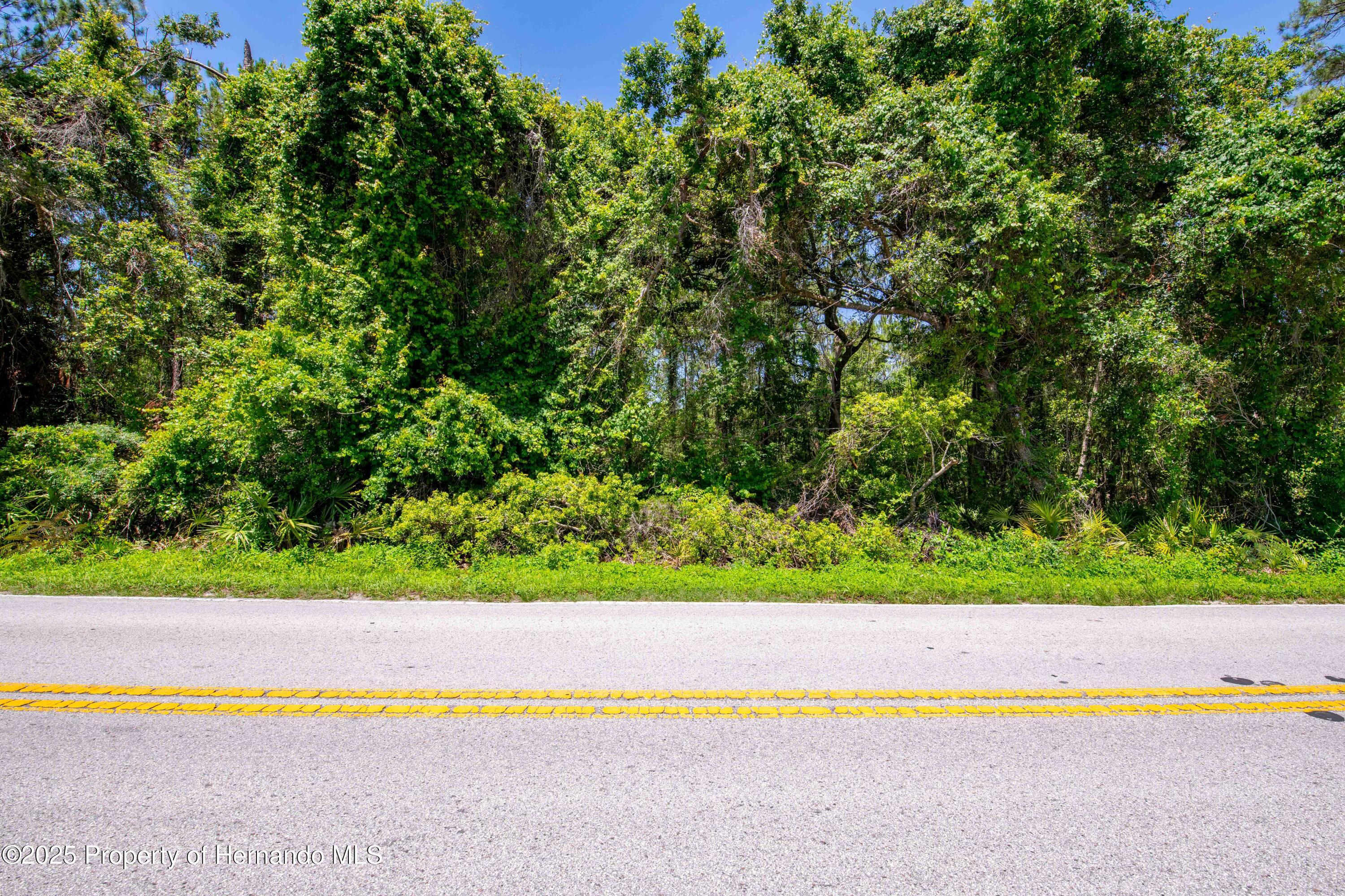 Emerson Road, Brooksville, Florida image 14