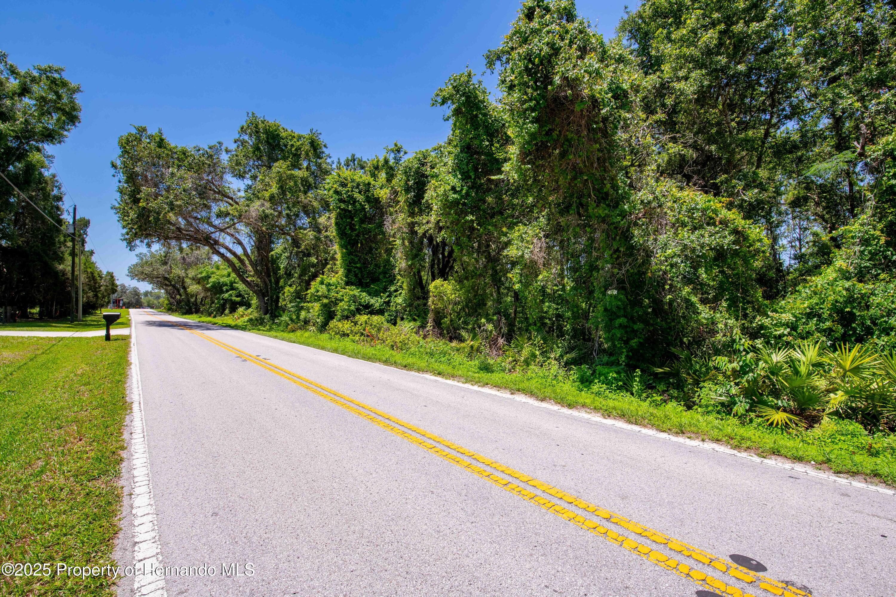 Emerson Road, Brooksville, Florida image 16