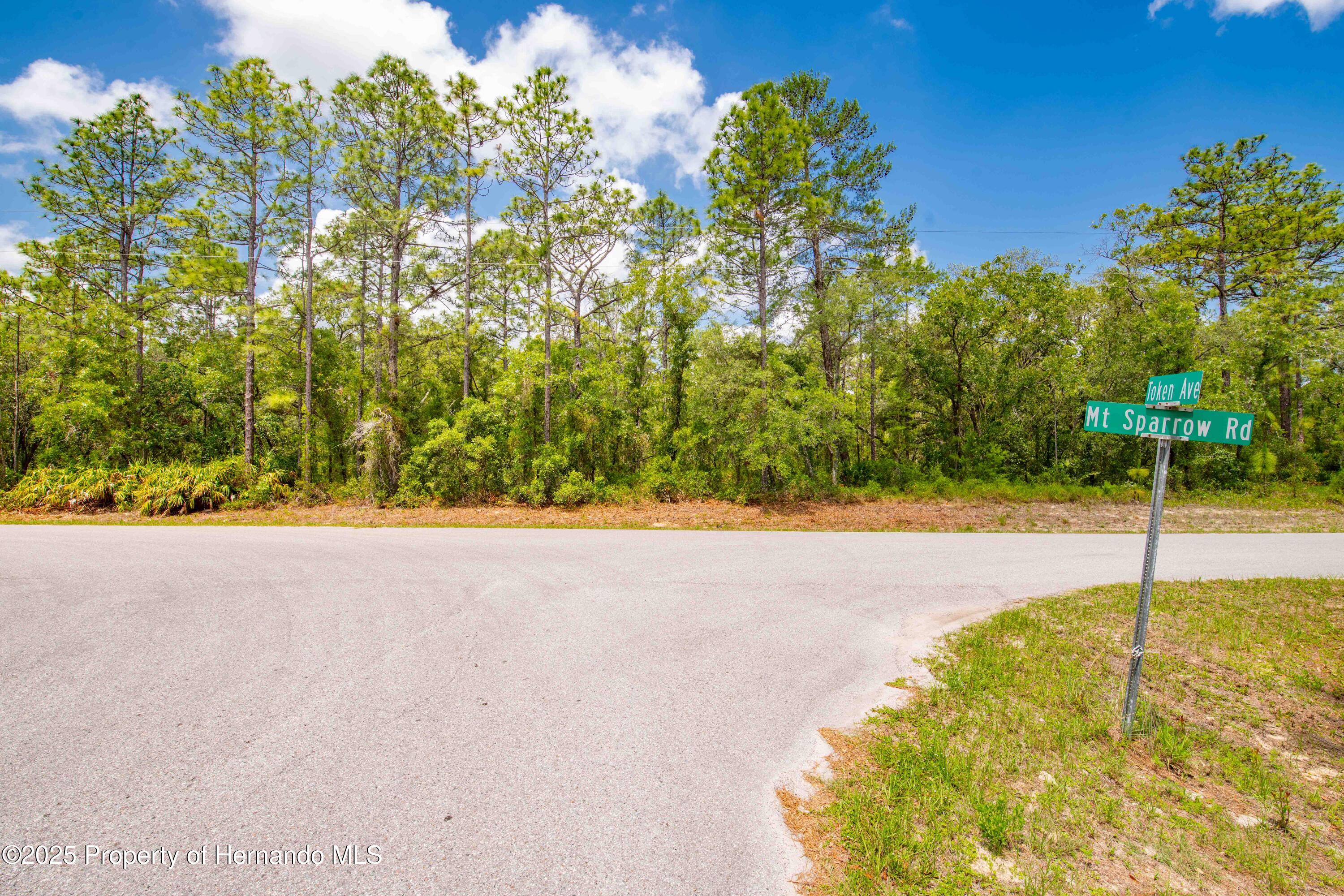16240 Mountain Sparrow Road, Brooksville, Florida image 5