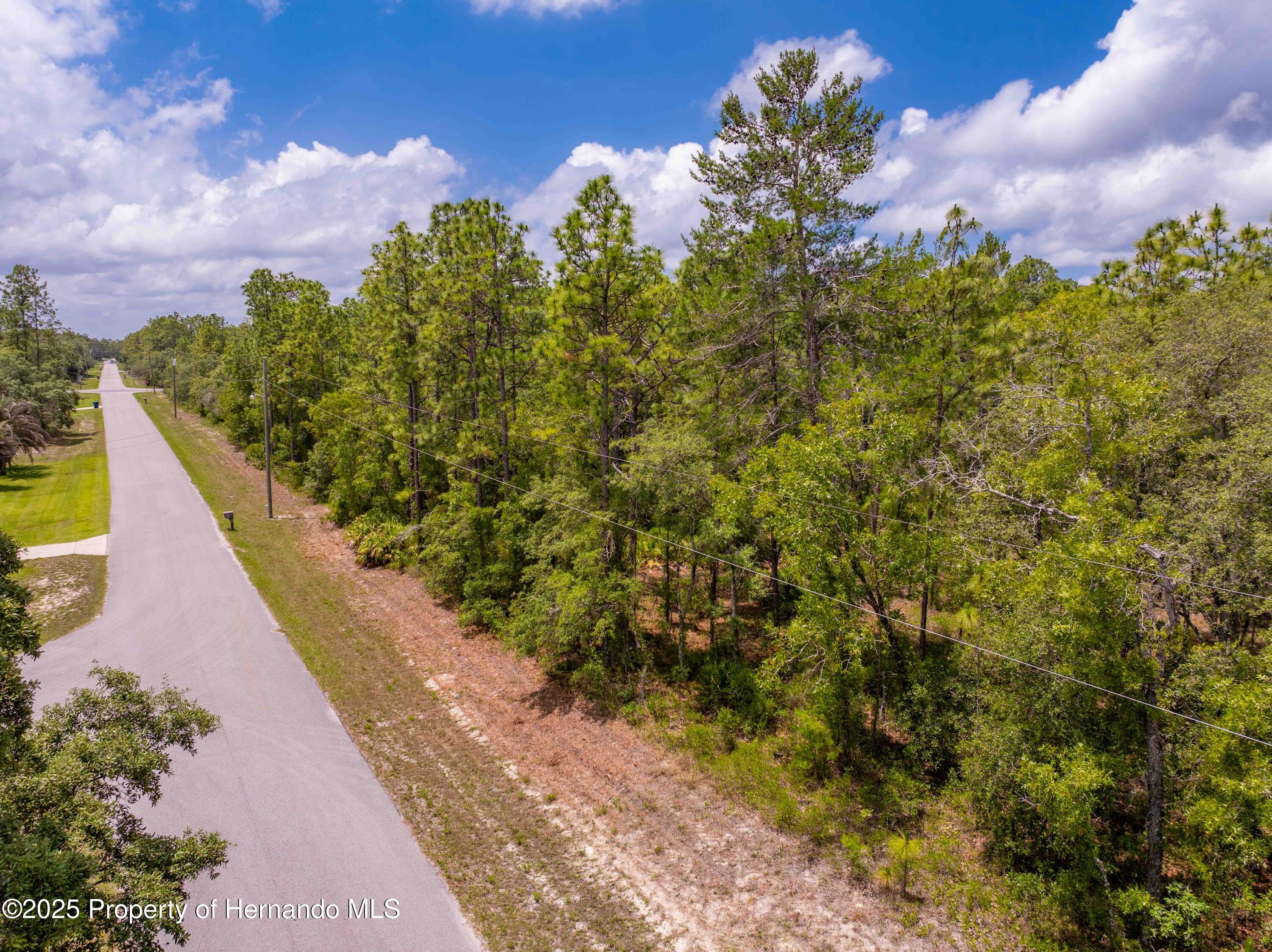 16240 Mountain Sparrow Road, Brooksville, Florida image 13