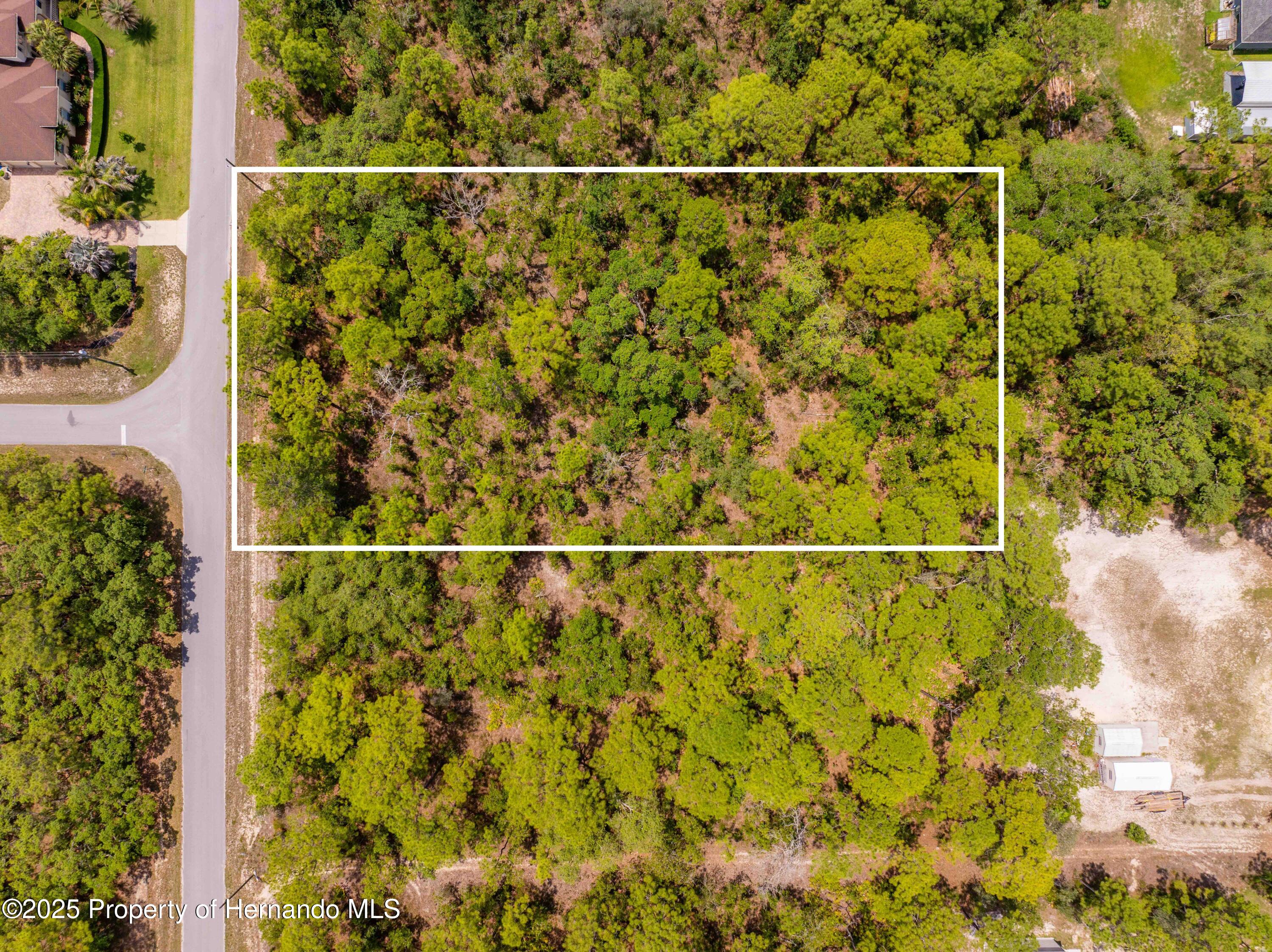 16240 Mountain Sparrow Road, Brooksville, Florida image 8