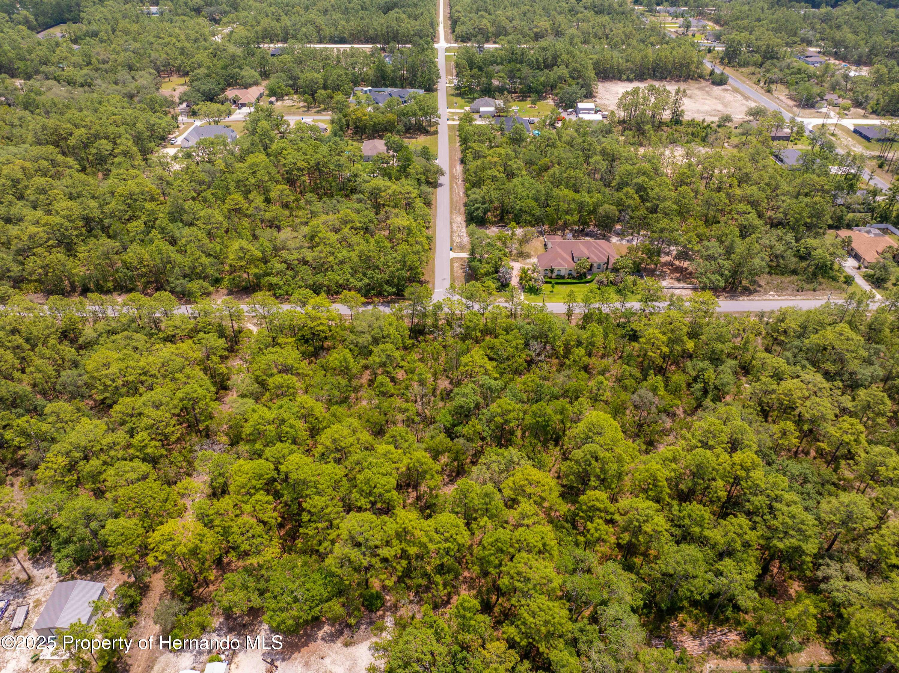 16240 Mountain Sparrow Road, Brooksville, Florida image 6