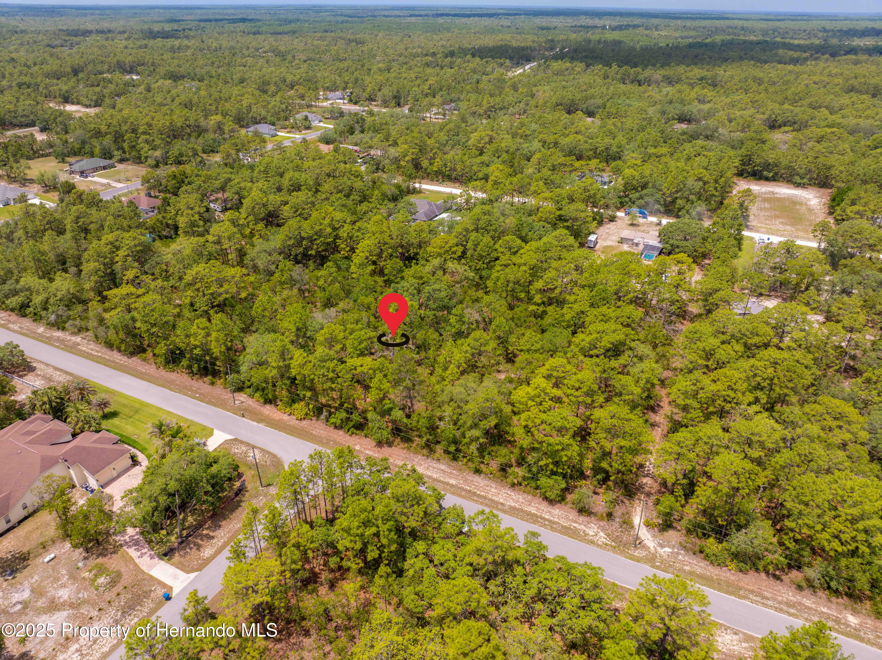 16240 Mountain Sparrow Road, Brooksville, Florida image 11