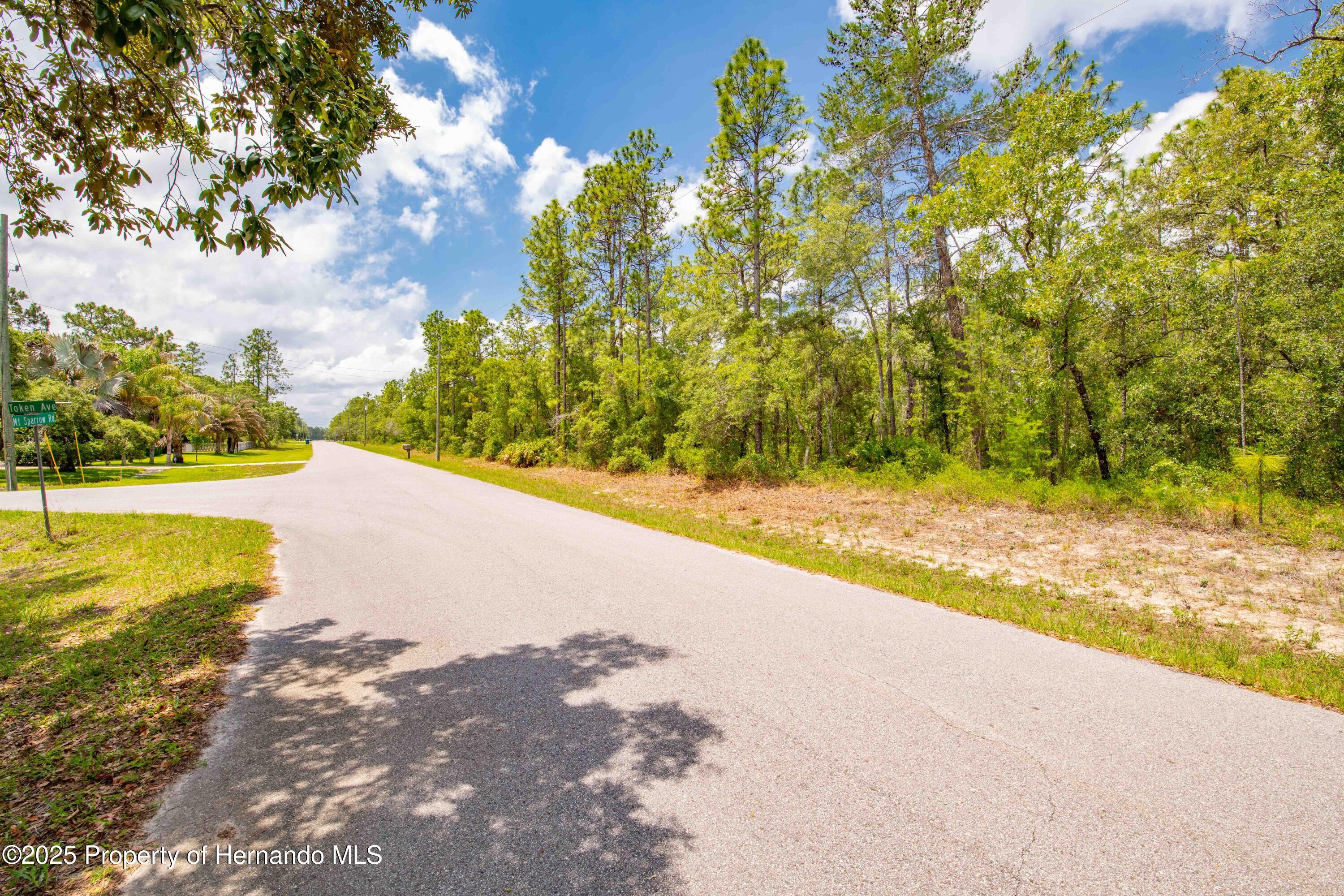 16240 Mountain Sparrow Road, Brooksville, Florida image 2
