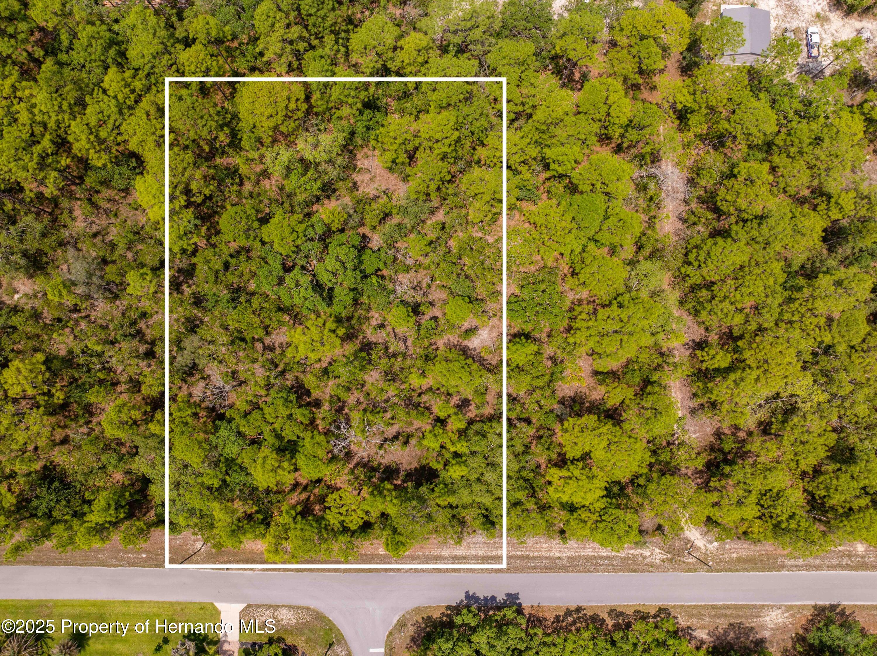 16240 Mountain Sparrow Road, Brooksville, Florida image 9