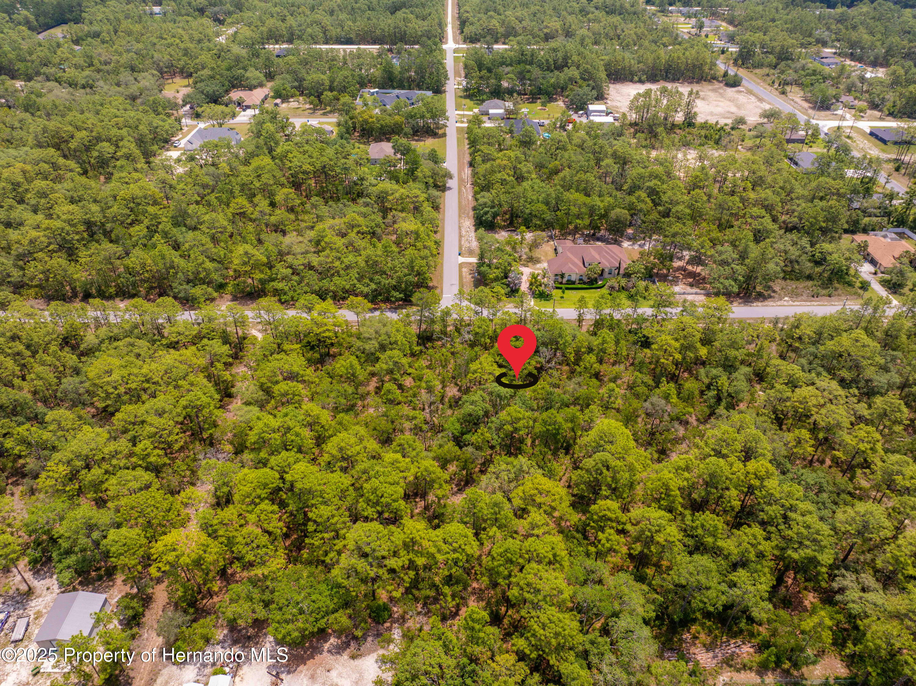 16240 Mountain Sparrow Road, Brooksville, Florida image 7
