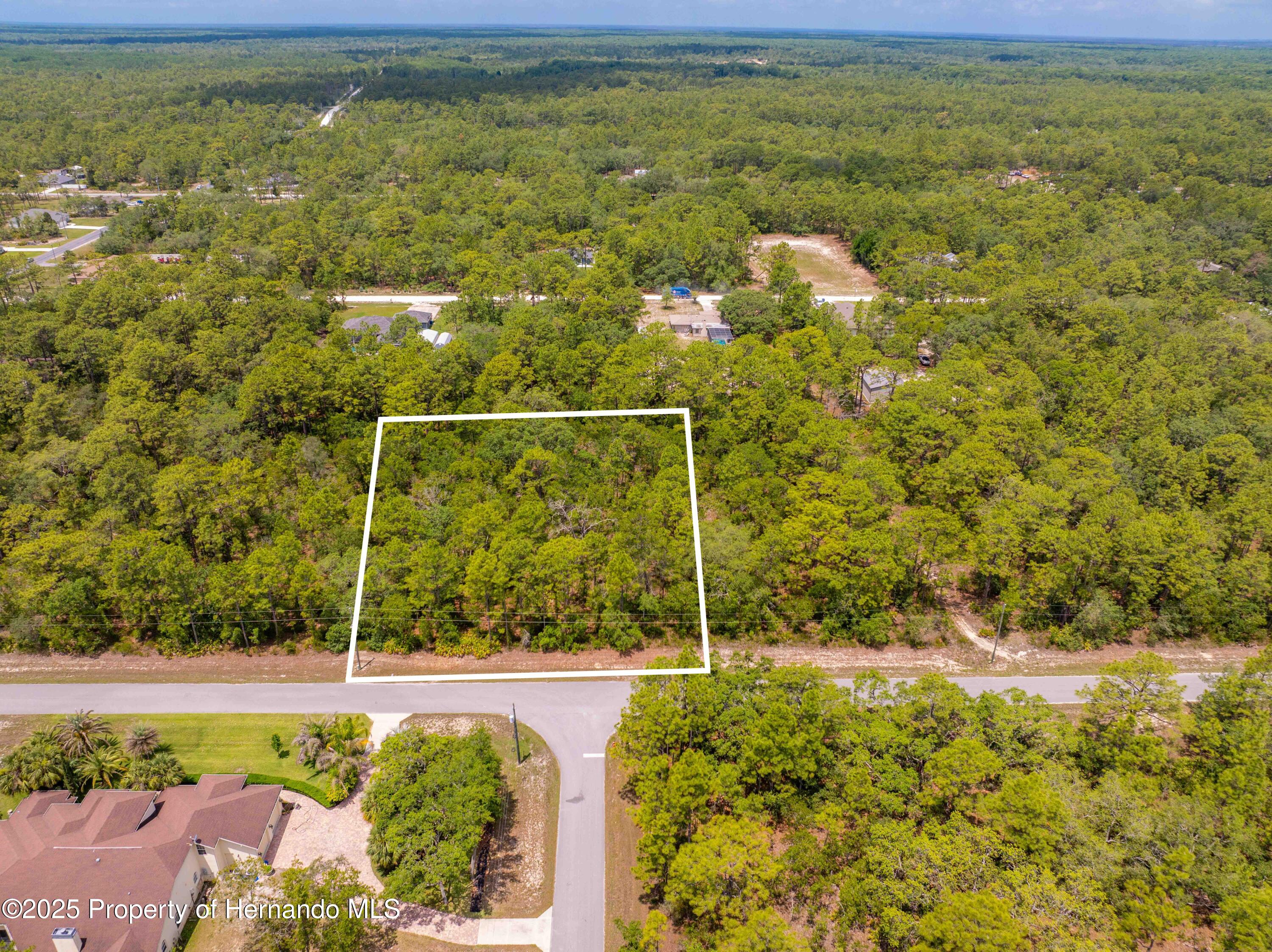 16240 Mountain Sparrow Road, Brooksville, Florida image 12