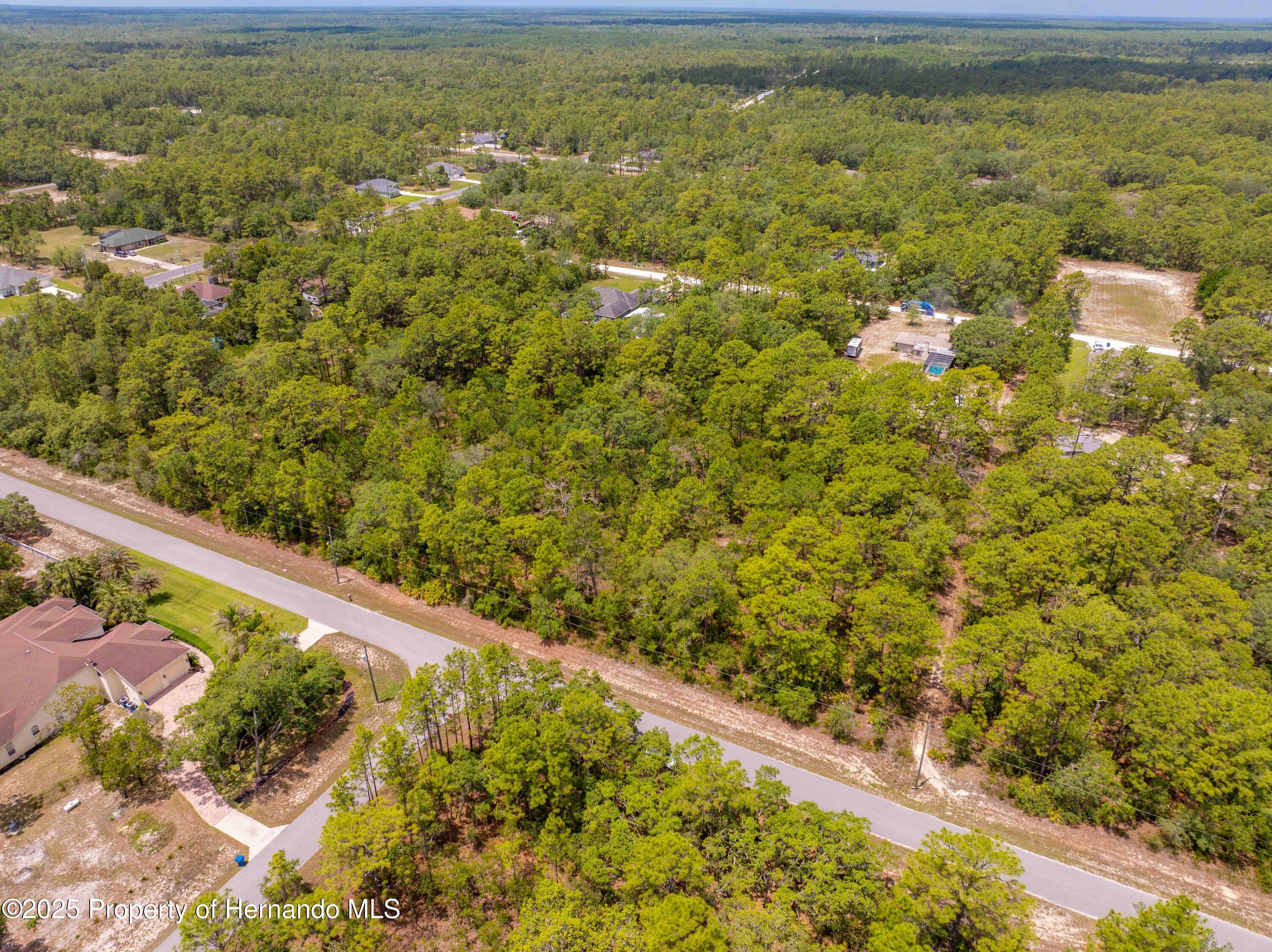 16240 Mountain Sparrow Road, Brooksville, Florida image 10