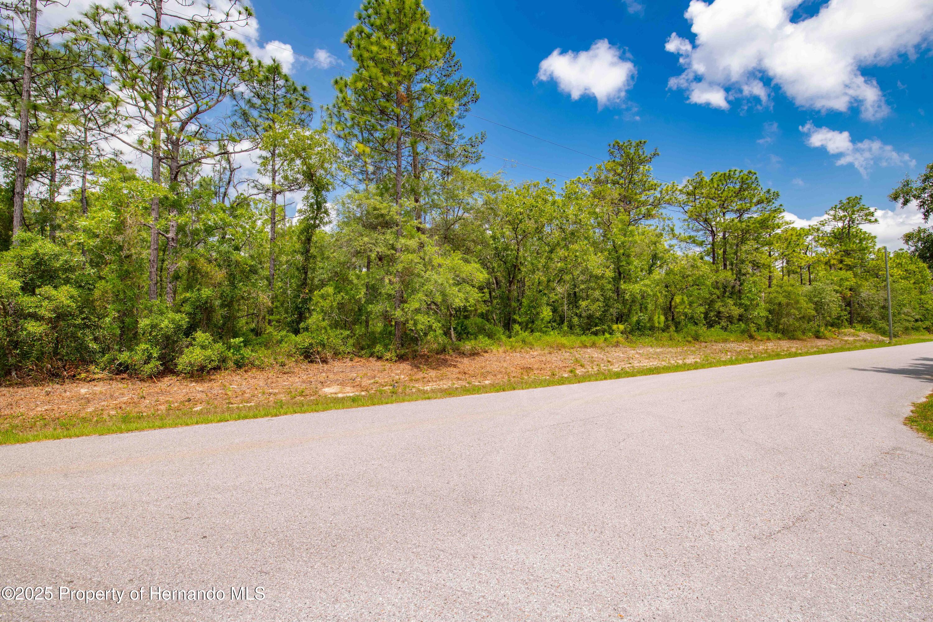 16240 Mountain Sparrow Road, Brooksville, Florida image 4