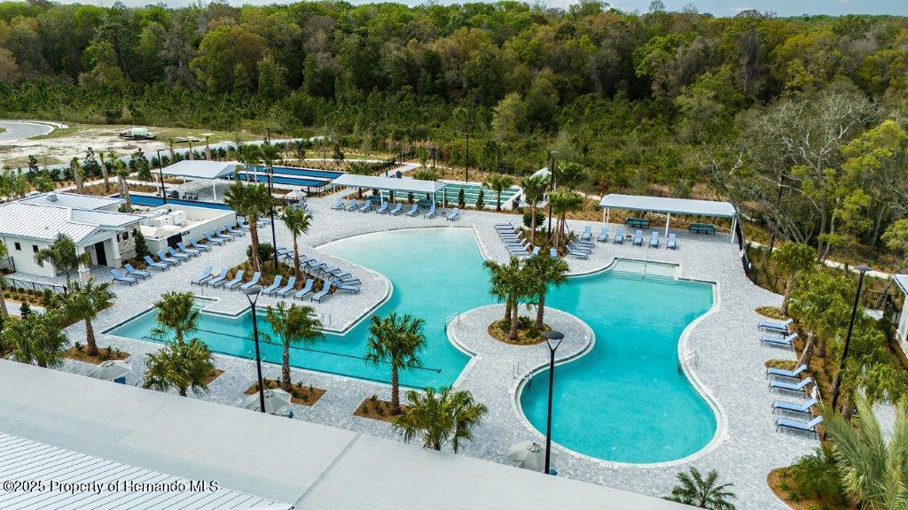 16910 Falling Waters Court, LAND O LAKES, Florida image 41