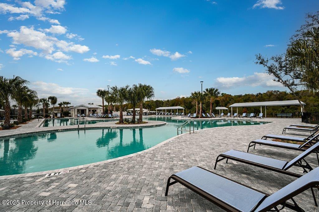 16910 Falling Waters Court, LAND O LAKES, Florida image 45