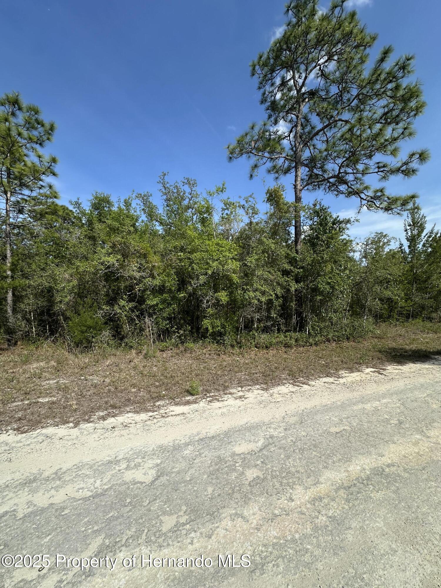 14106 Eastern Phoebe Road, Weeki Wachee, Florida image 4