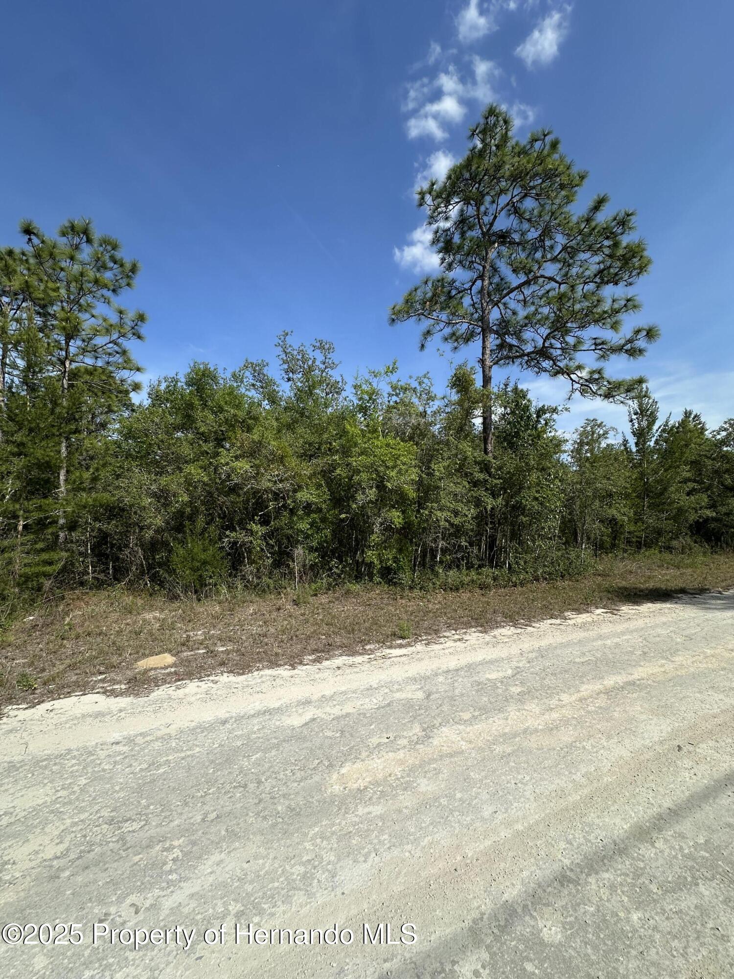 14106 Eastern Phoebe Road, Weeki Wachee, Florida image 2