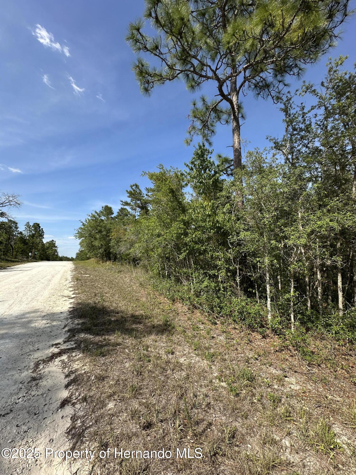 14106 Eastern Phoebe Road, Weeki Wachee, Florida image 1