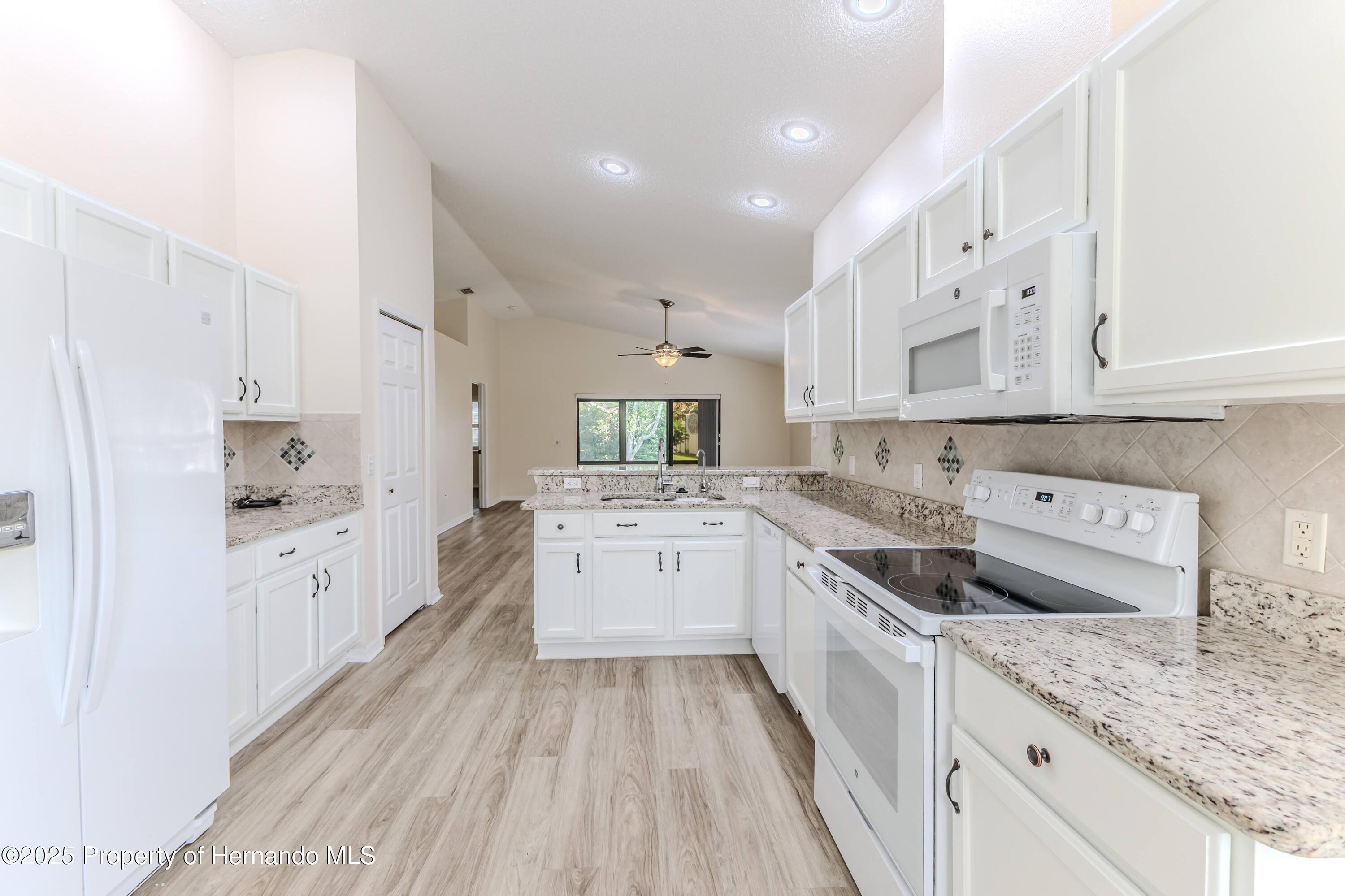 1013 Indigo Run Court, Spring Hill, Florida image 11