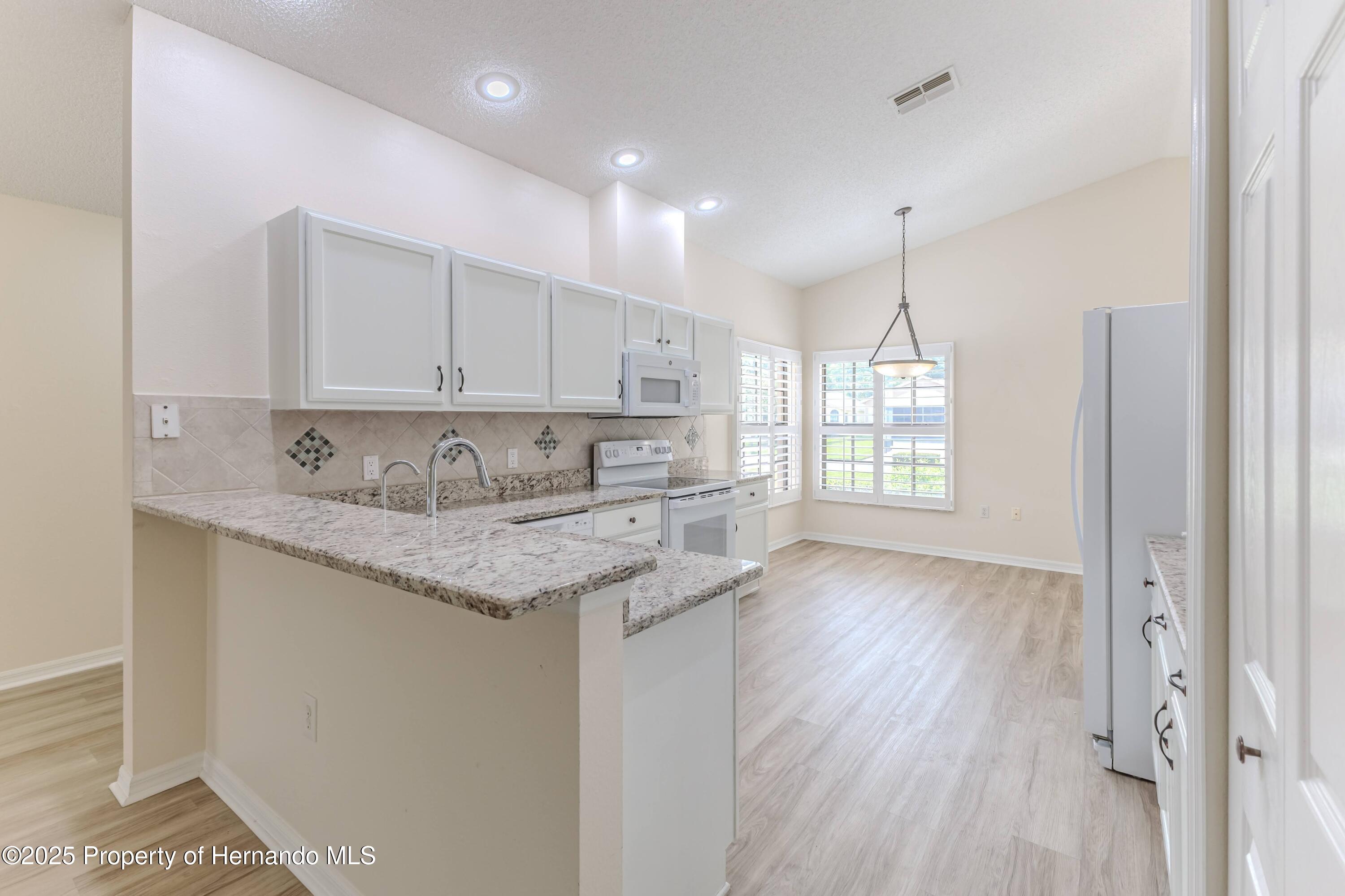 1013 Indigo Run Court, Spring Hill, Florida image 6