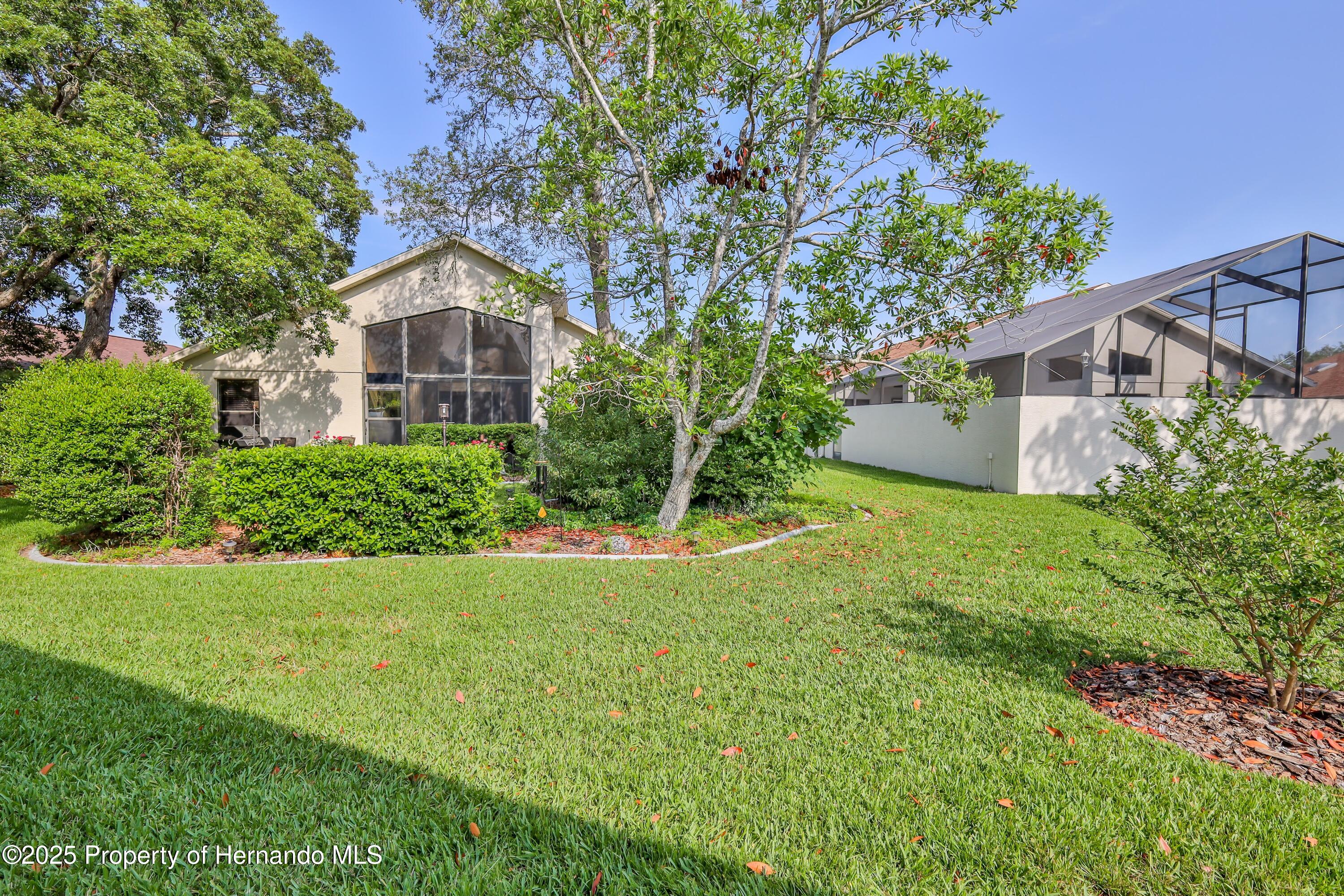 1013 Indigo Run Court, Spring Hill, Florida image 36