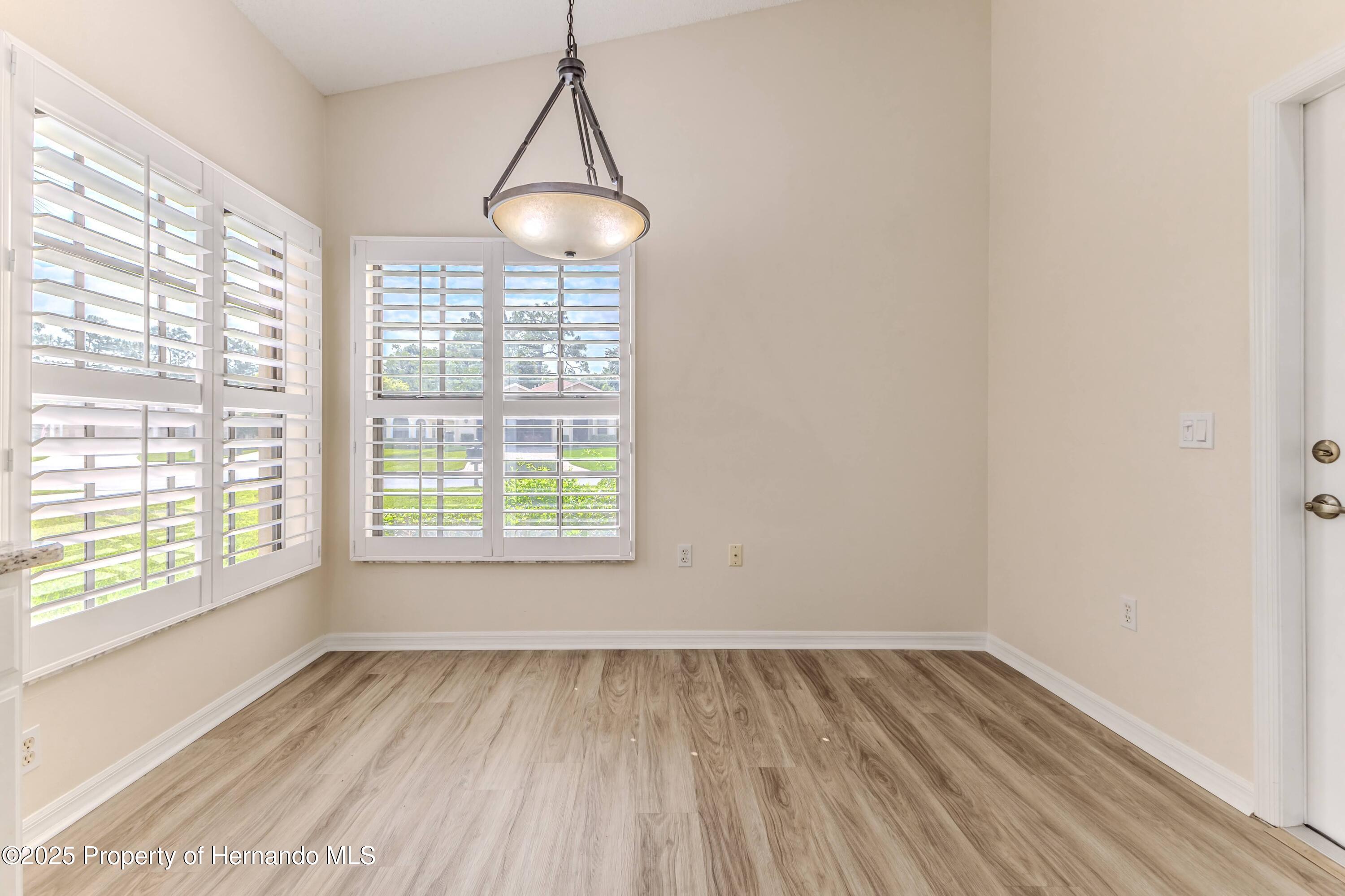 1013 Indigo Run Court, Spring Hill, Florida image 7