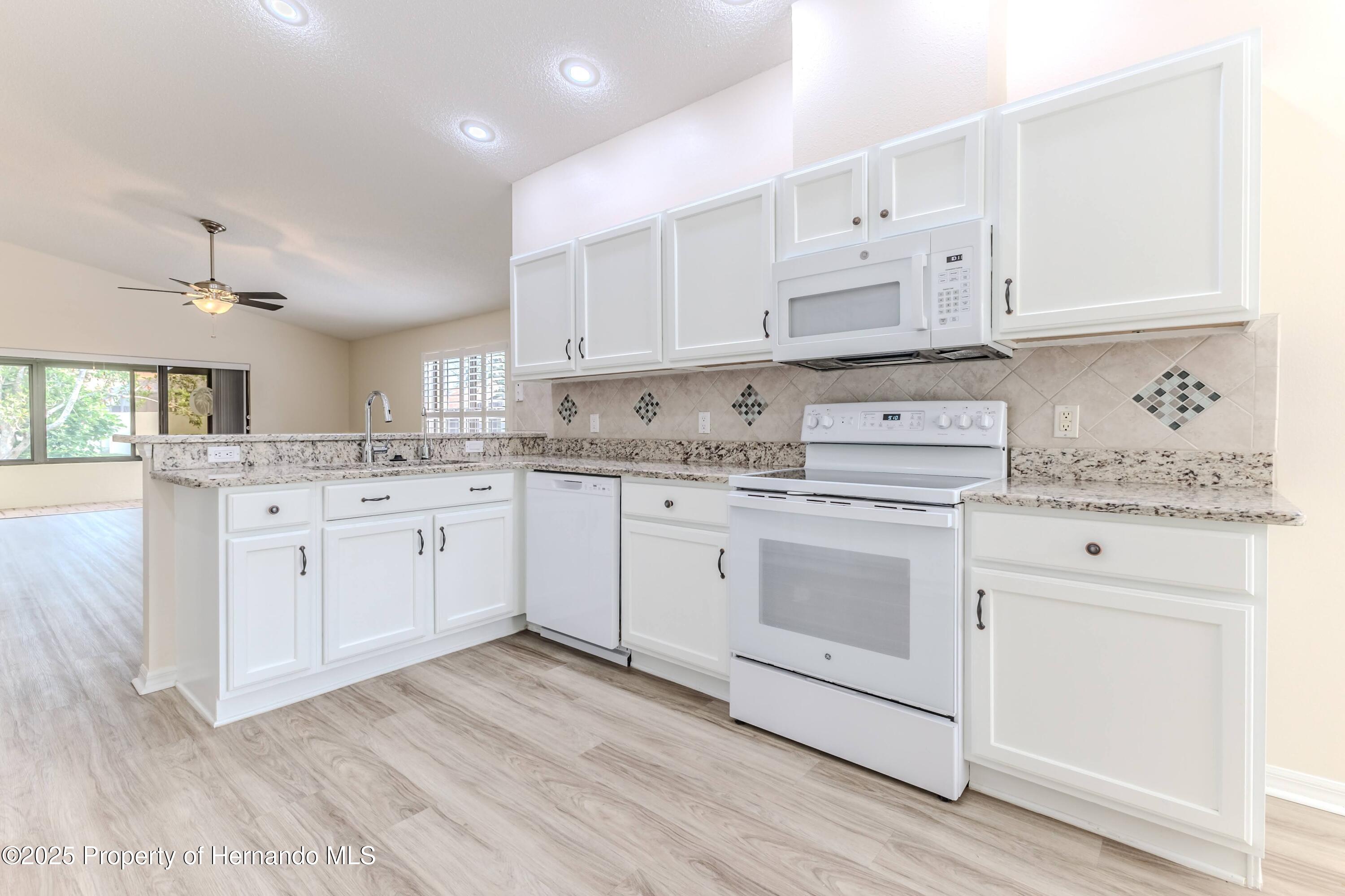 1013 Indigo Run Court, Spring Hill, Florida image 12