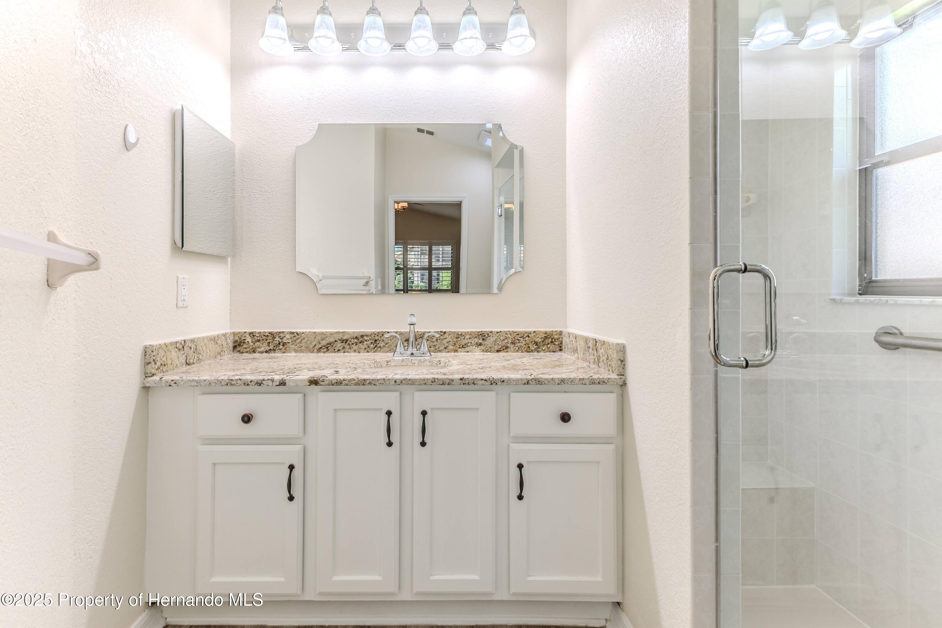 1013 Indigo Run Court, Spring Hill, Florida image 22