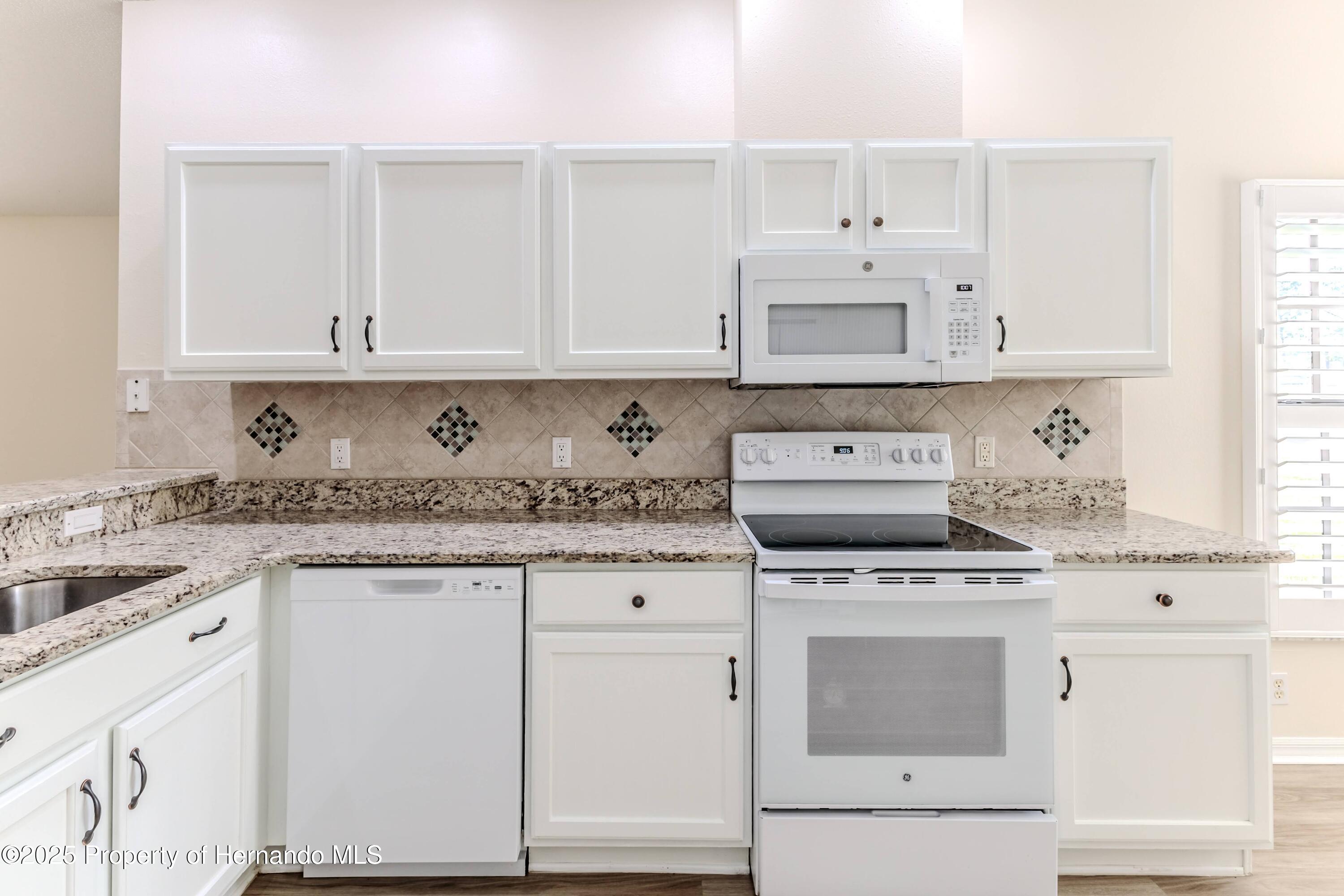 1013 Indigo Run Court, Spring Hill, Florida image 9
