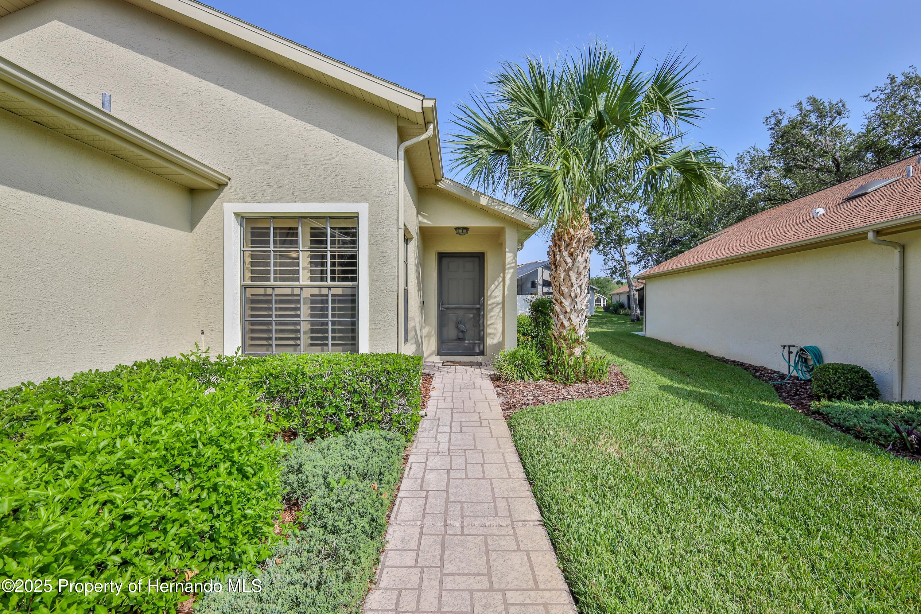 1013 Indigo Run Court, Spring Hill, Florida image 5
