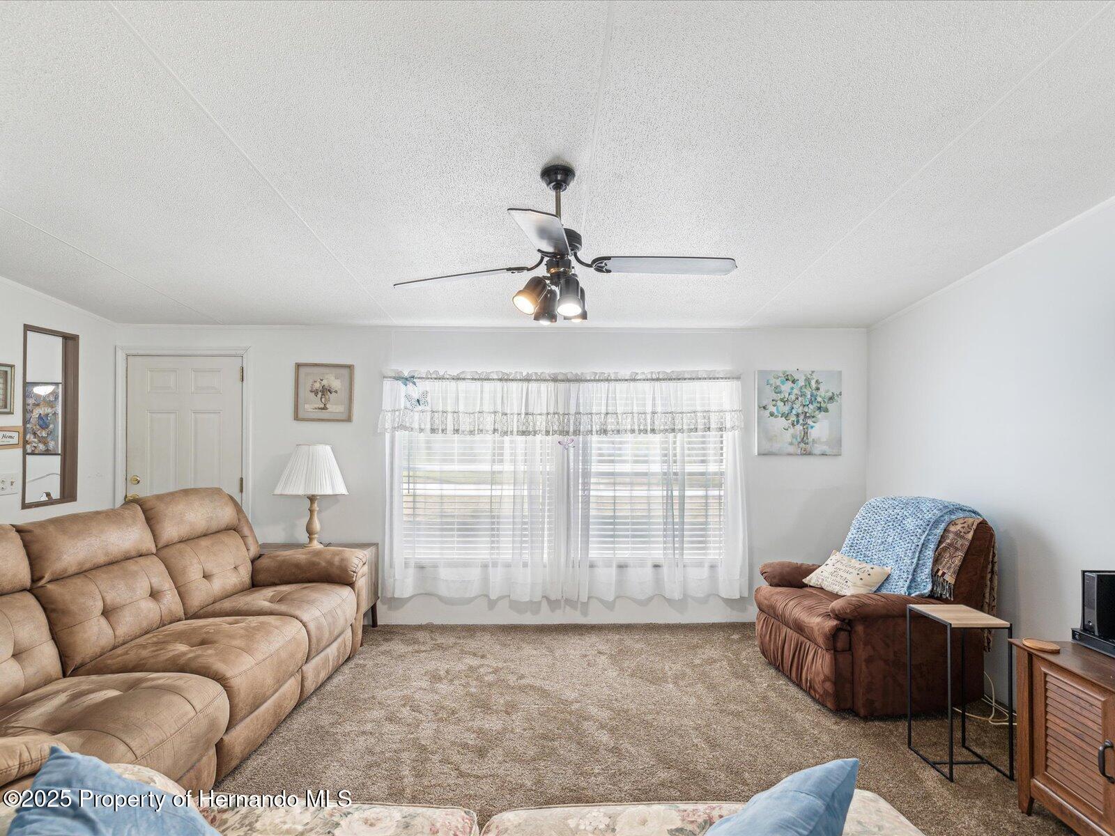 25495 Heckman Drive, Brooksville, Florida image 7