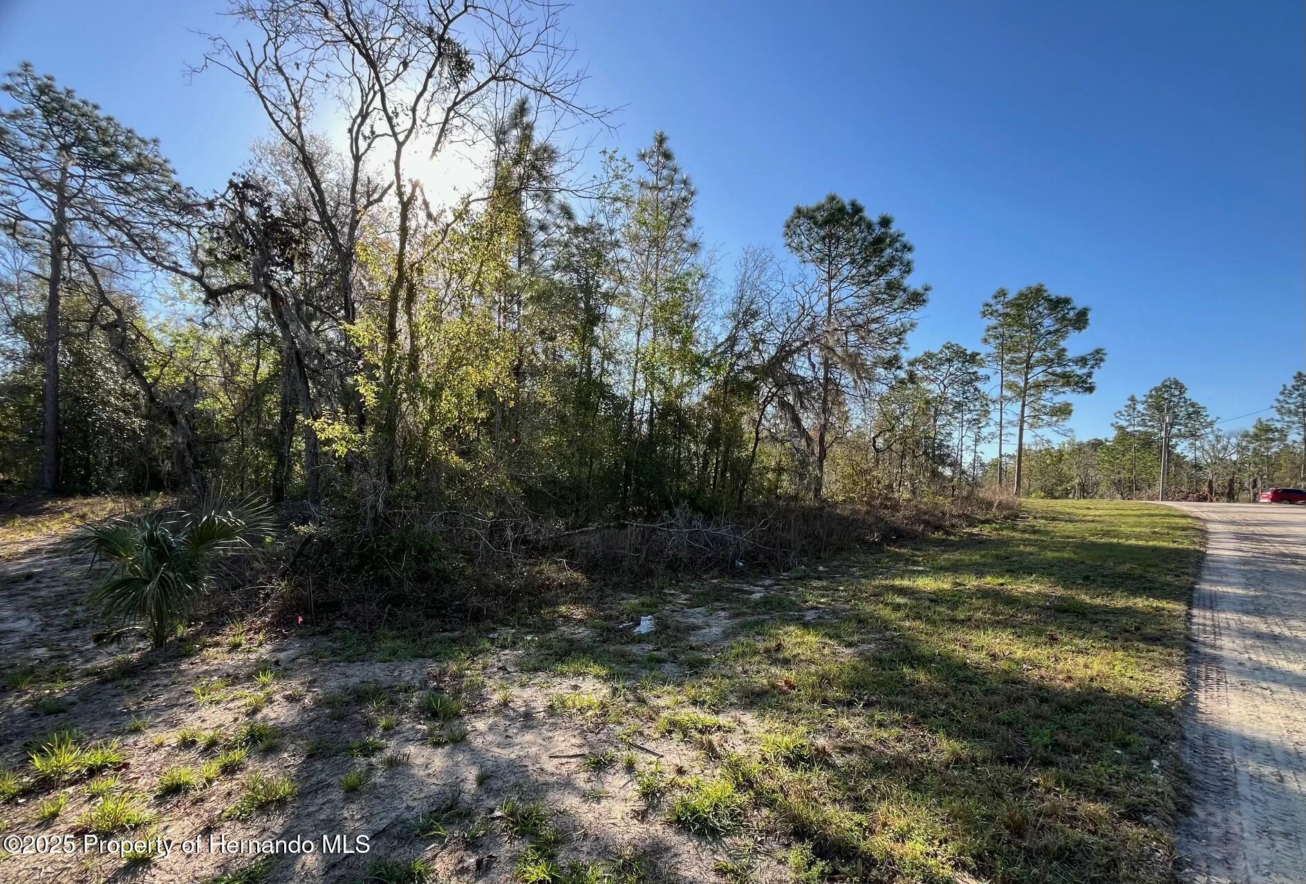 Crane Road, Brooksville, Florida image 6