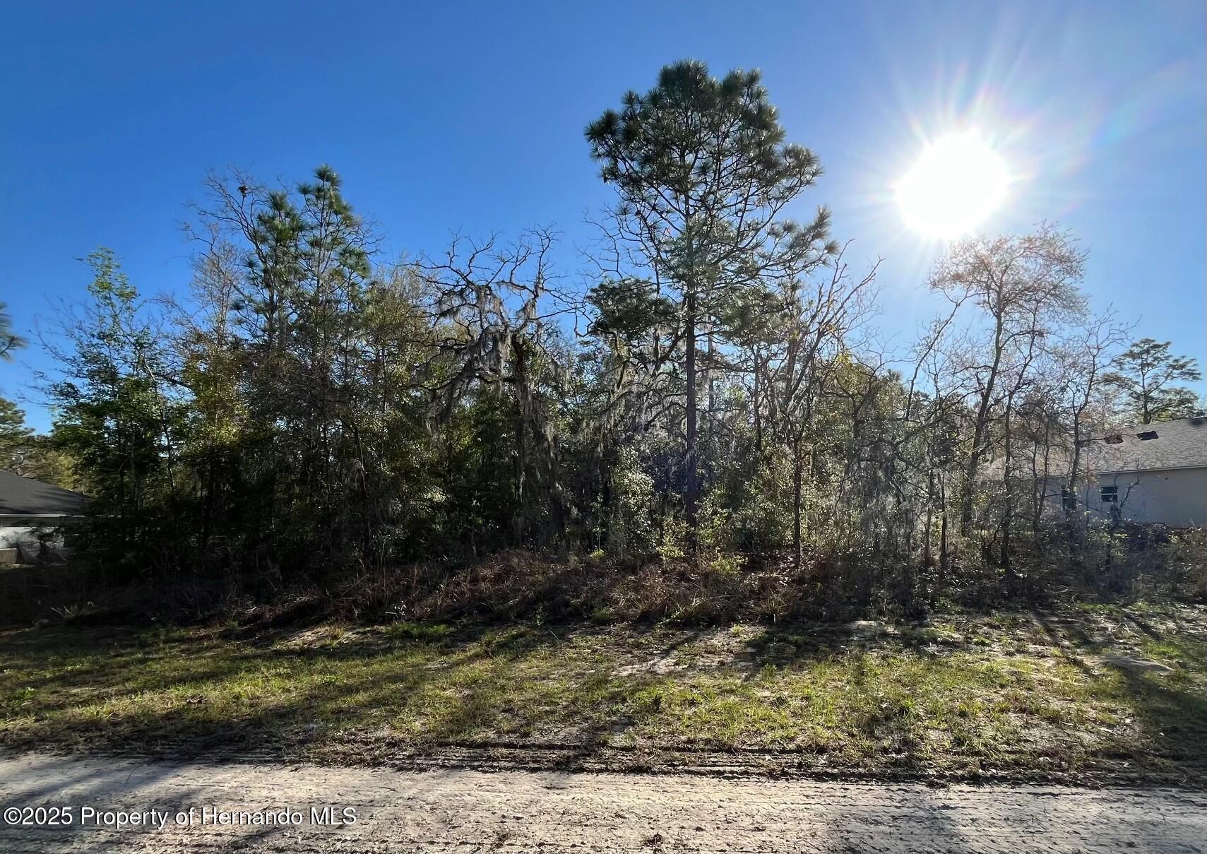 Crane Road, Brooksville, Florida image 3
