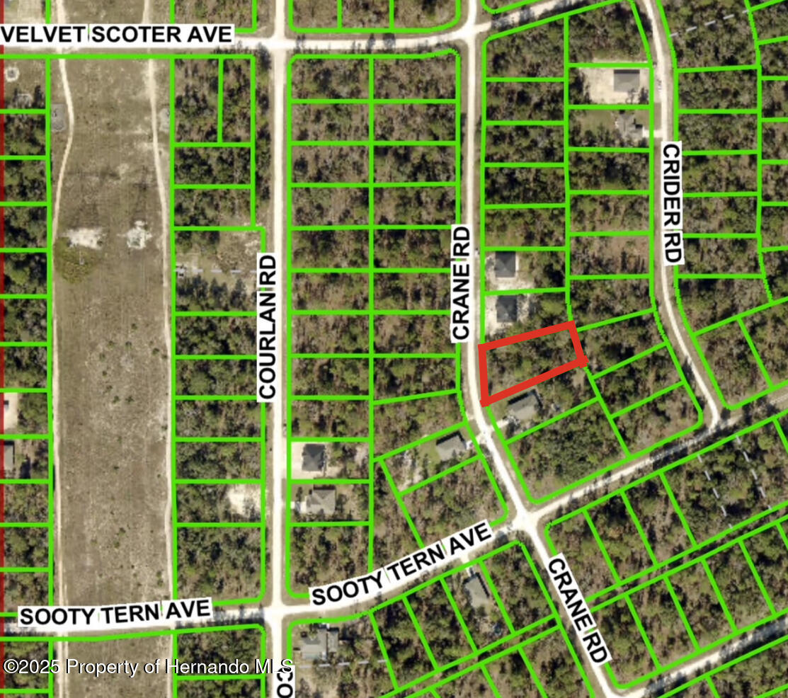 Crane Road, Brooksville, Florida image 2