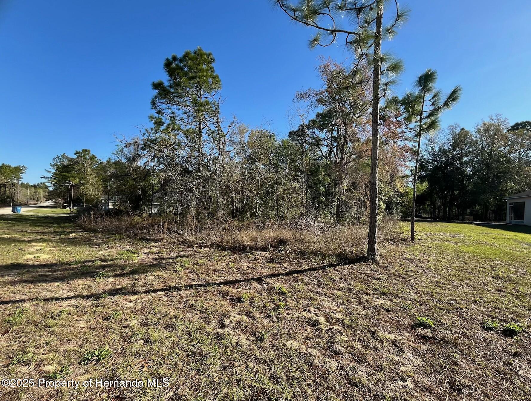 Crane Road, Brooksville, Florida image 7